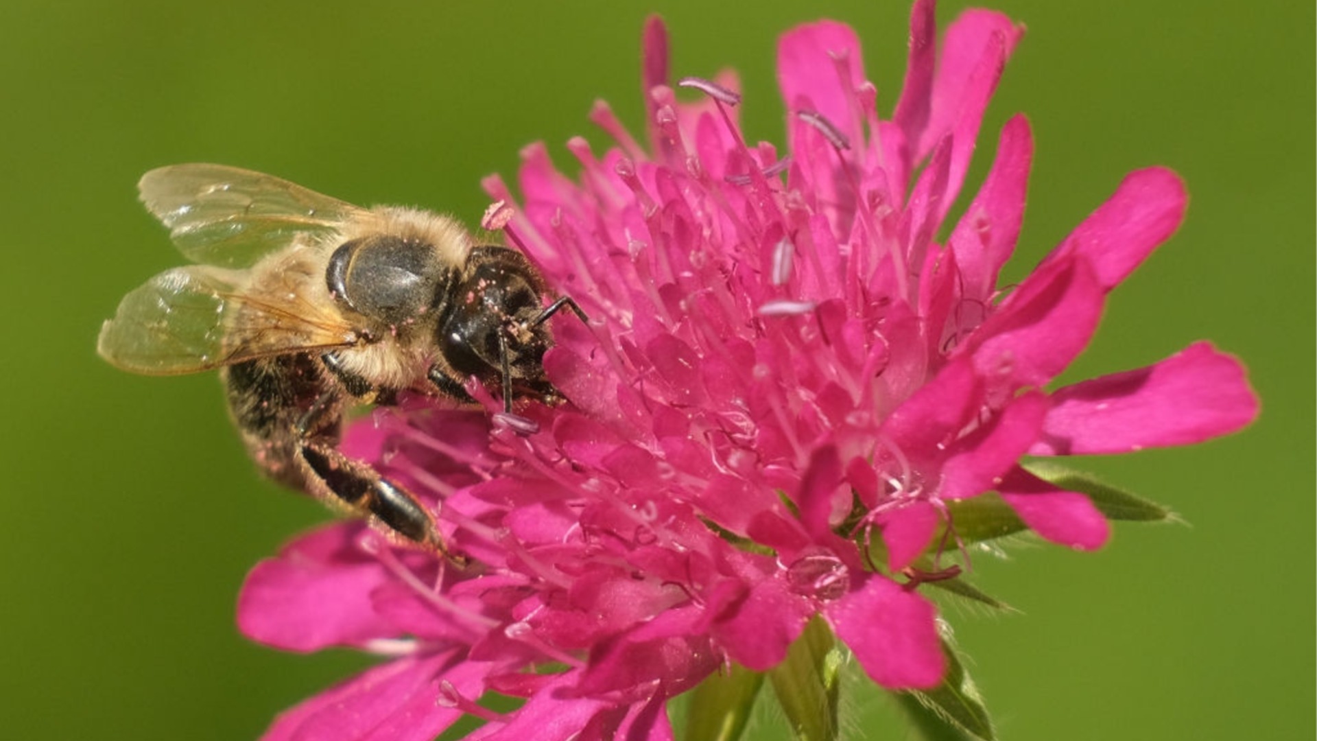 Закон на Вселената - каквото търсиш, това ще намериш