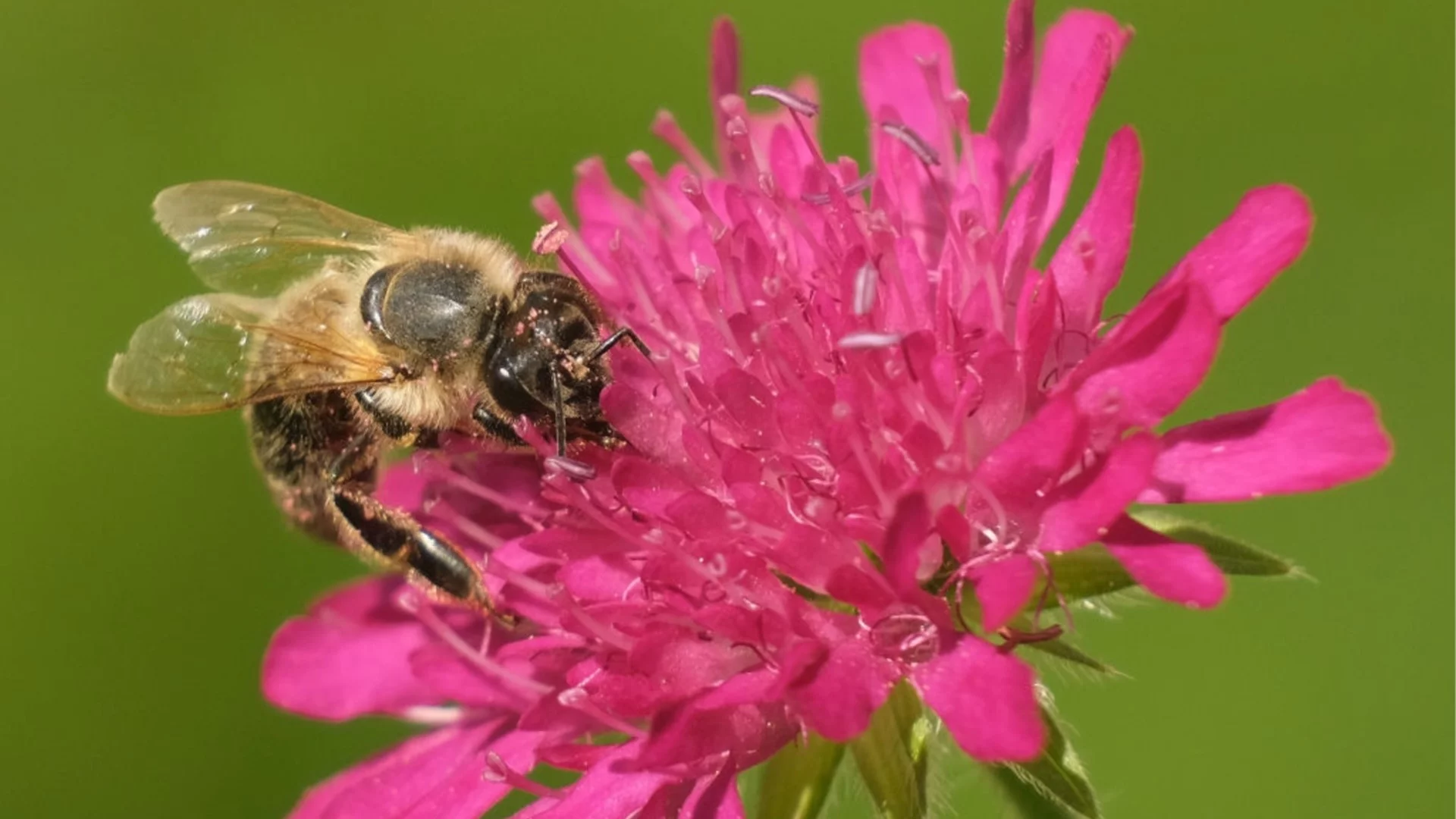 Закон на Вселената - каквото търсиш, това ще намериш