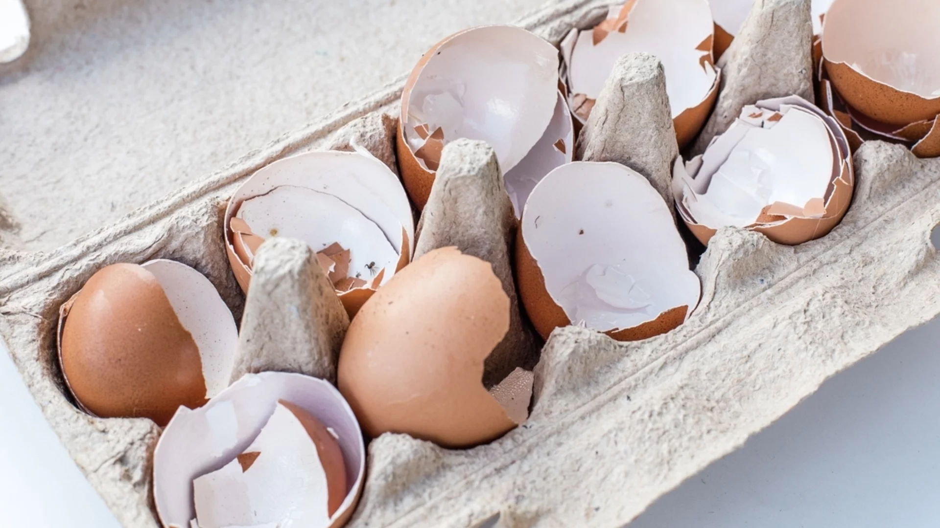 Защо никога НЕ трябва да връщате черупките от яйца в картонената опаковка