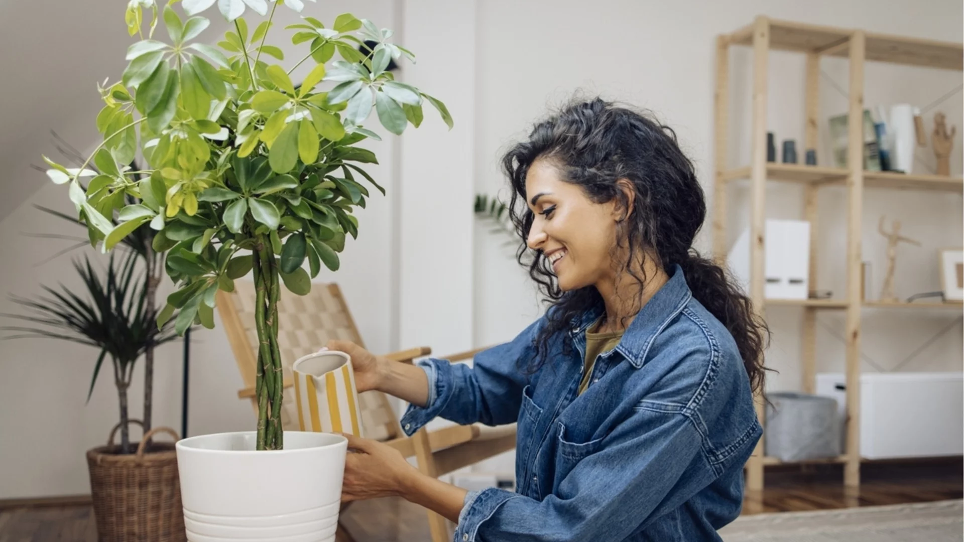Това е най-доброто време от деня за поливане на стайни растения
