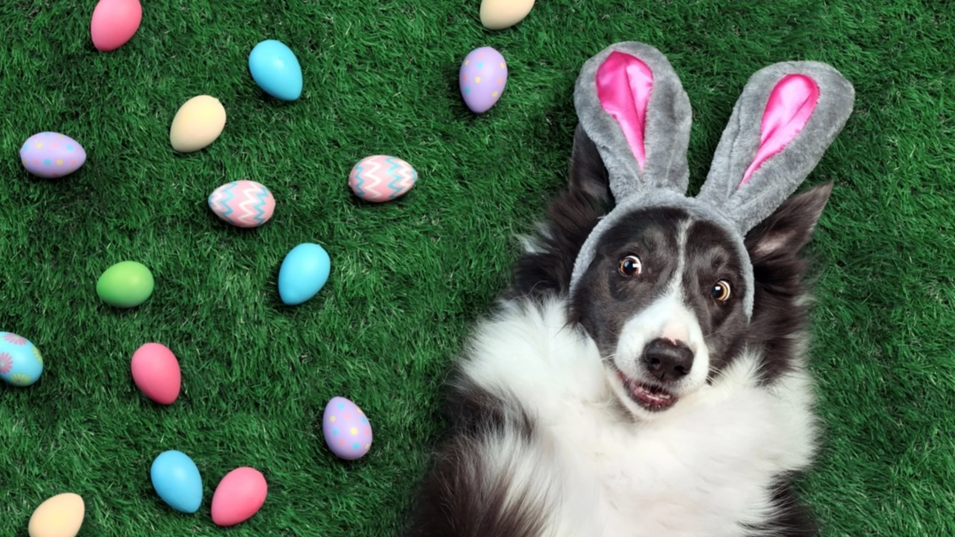 Седмична прогноза за времето за 13-19 април 2026 г. 