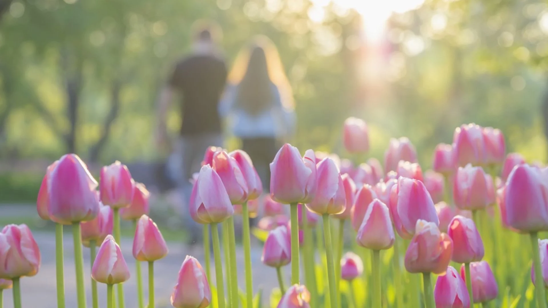 Прогноза за времето - 14 април 2026 г. (вторник)