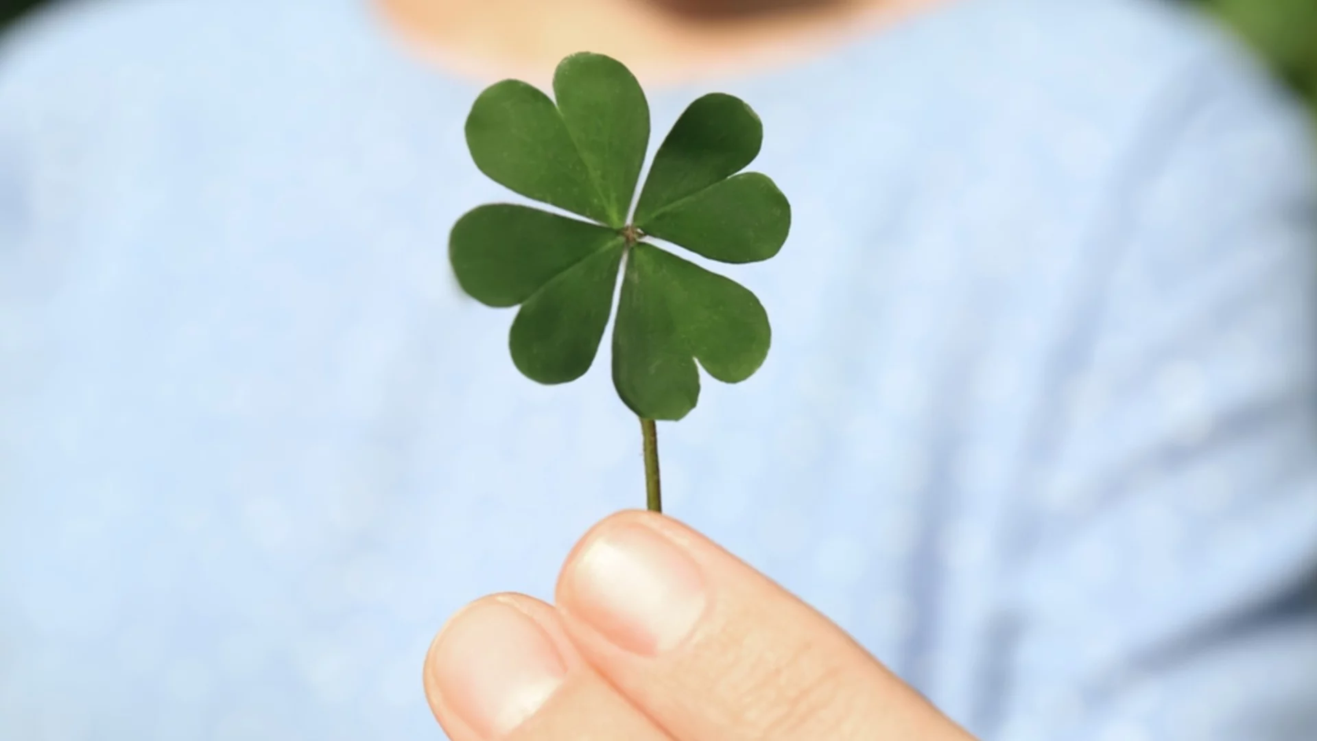 Огромен късмет връхлита тези зодии през седмицата от 13 до 19 април 2026