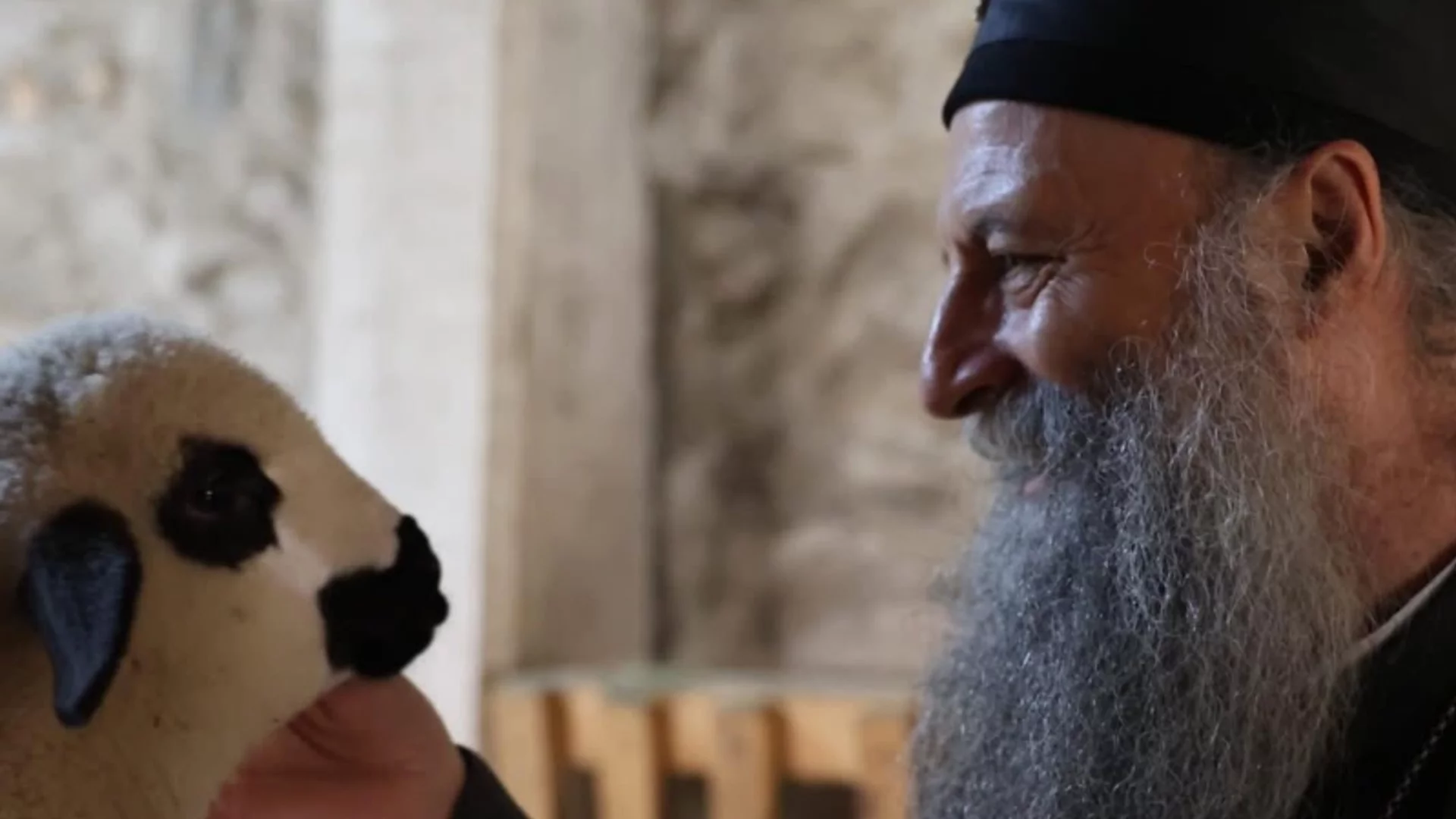 Странен великденски пиар: Сръбският патриарх позира с агнета и телета в Косово (СНИМКИ) 