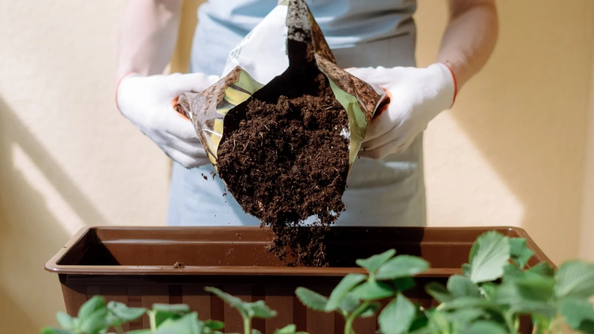 Каква е разликата между почва за цветя и почва за зеленчуци