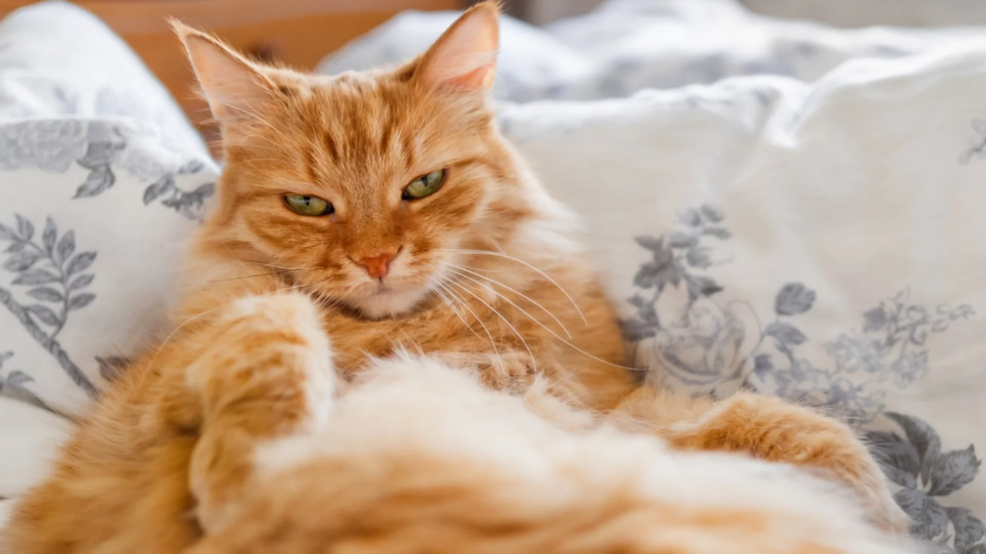 Температурен скок: Времето утре - 15 април 2026 г. 