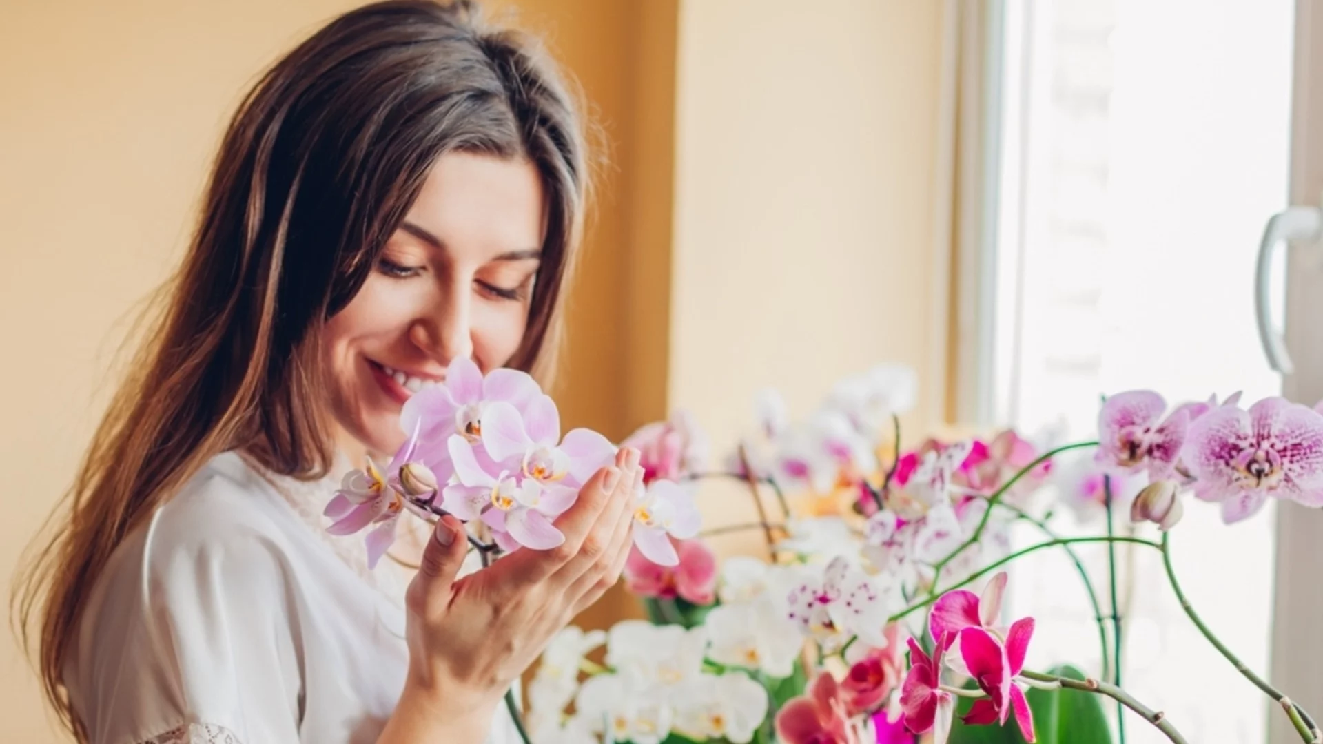 Растения, които носят късмет и предпазват дома от лоша енергия