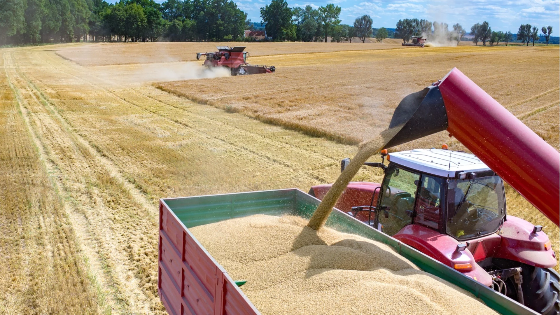 Скъпите горива и торове вдигат зърнопроизводителите на протест