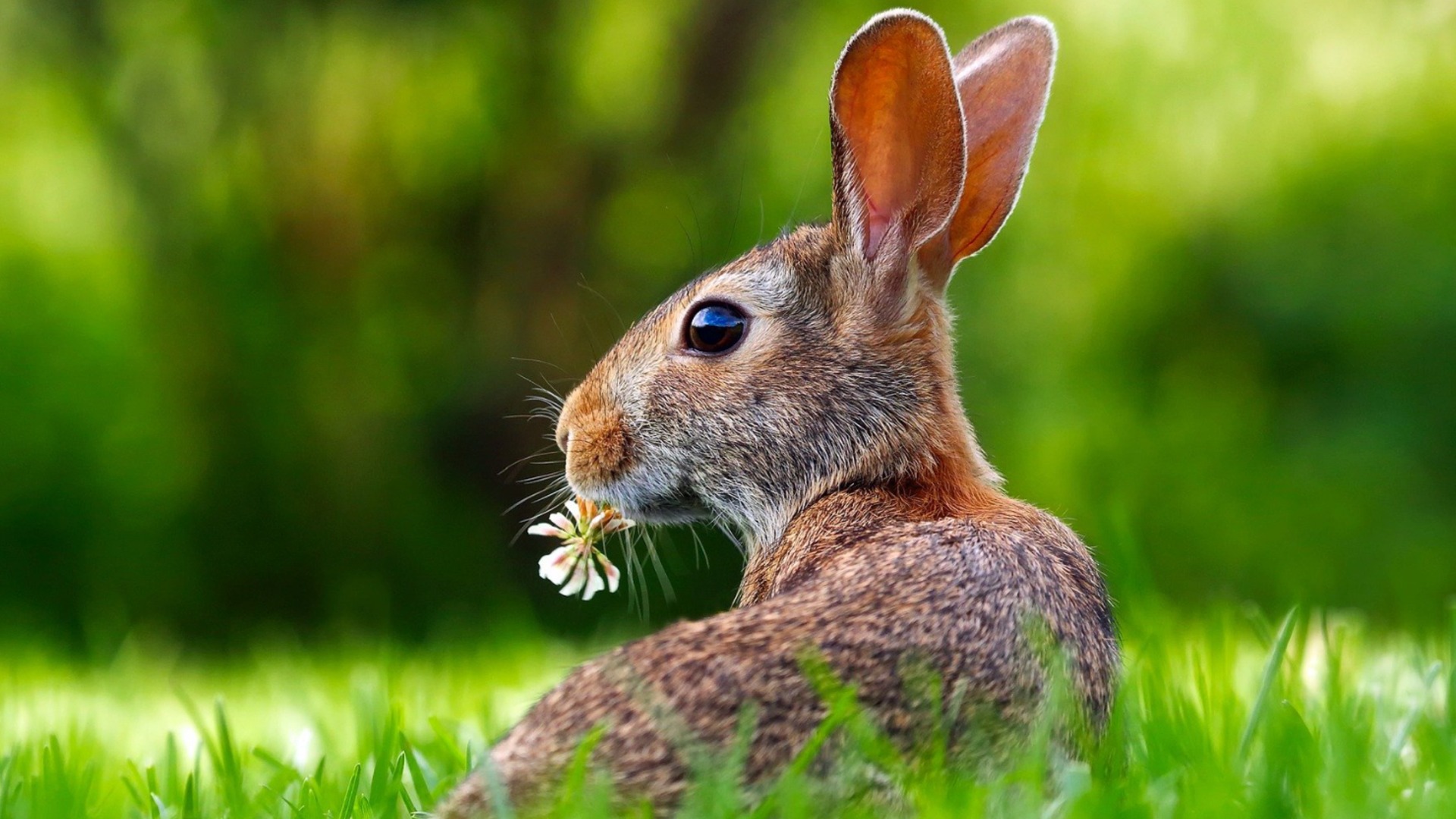 Хороскоп за днес, 18 април: Овните ще хванат питомното, но Водолеите ще изпуснат и дивото