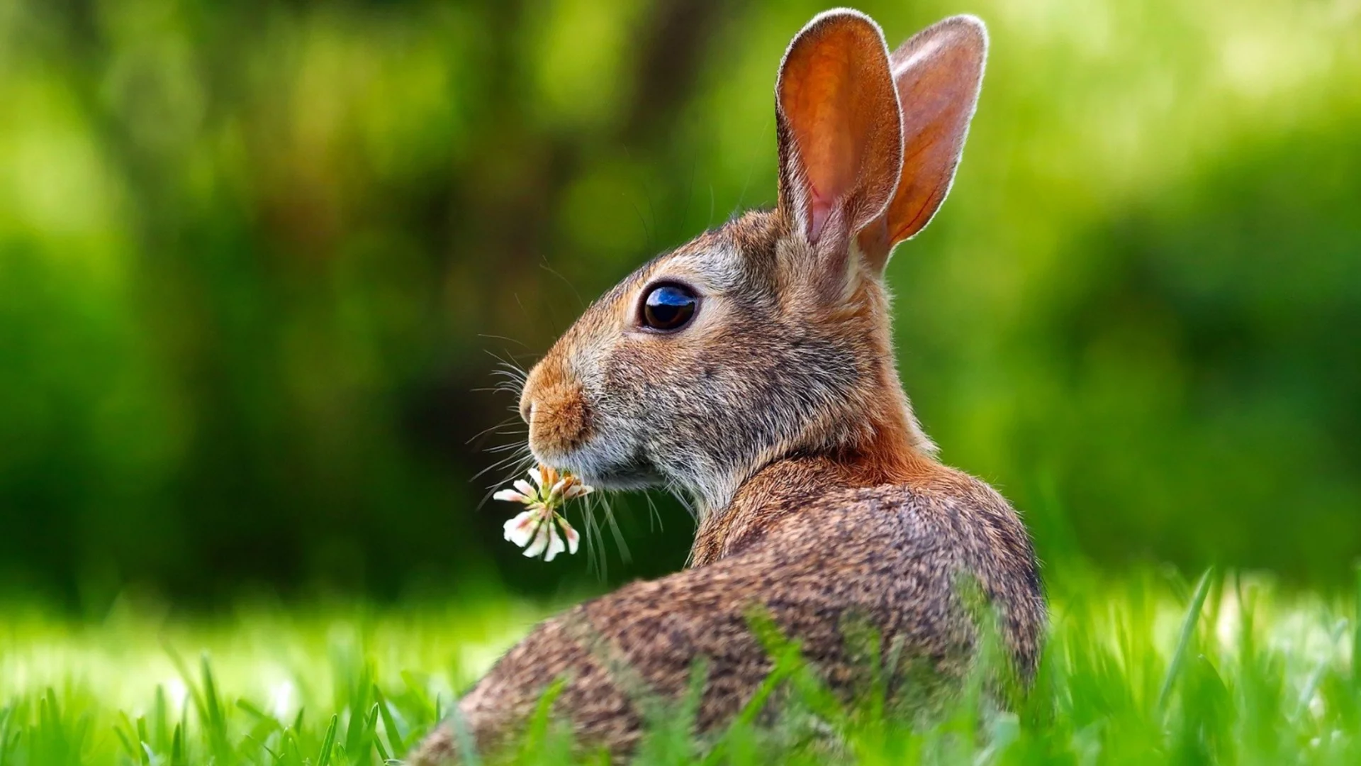 Хороскоп за днес, 18 април: Овните ще хванат питомното, но Водолеите ще изпуснат и дивото