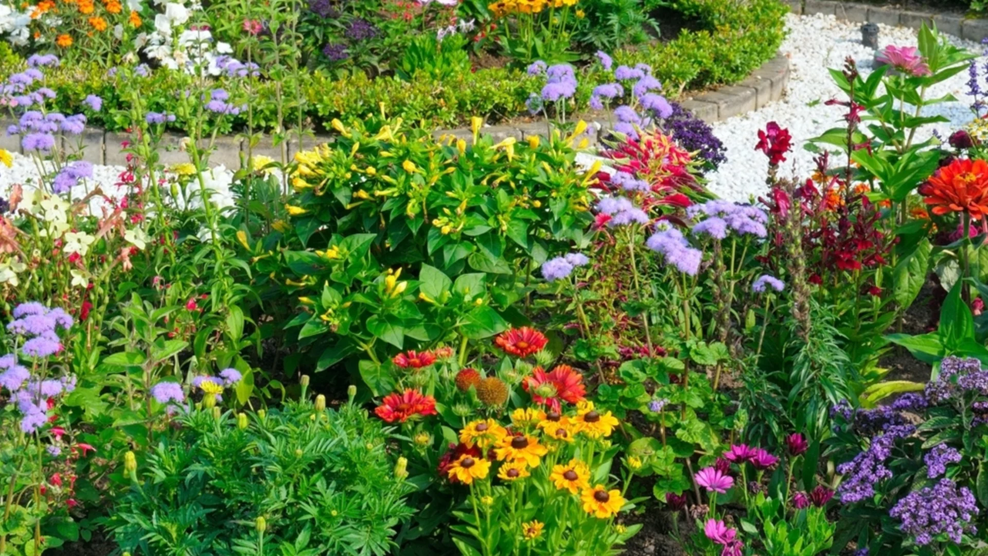 4 прекрасни цветя за засаждане през април