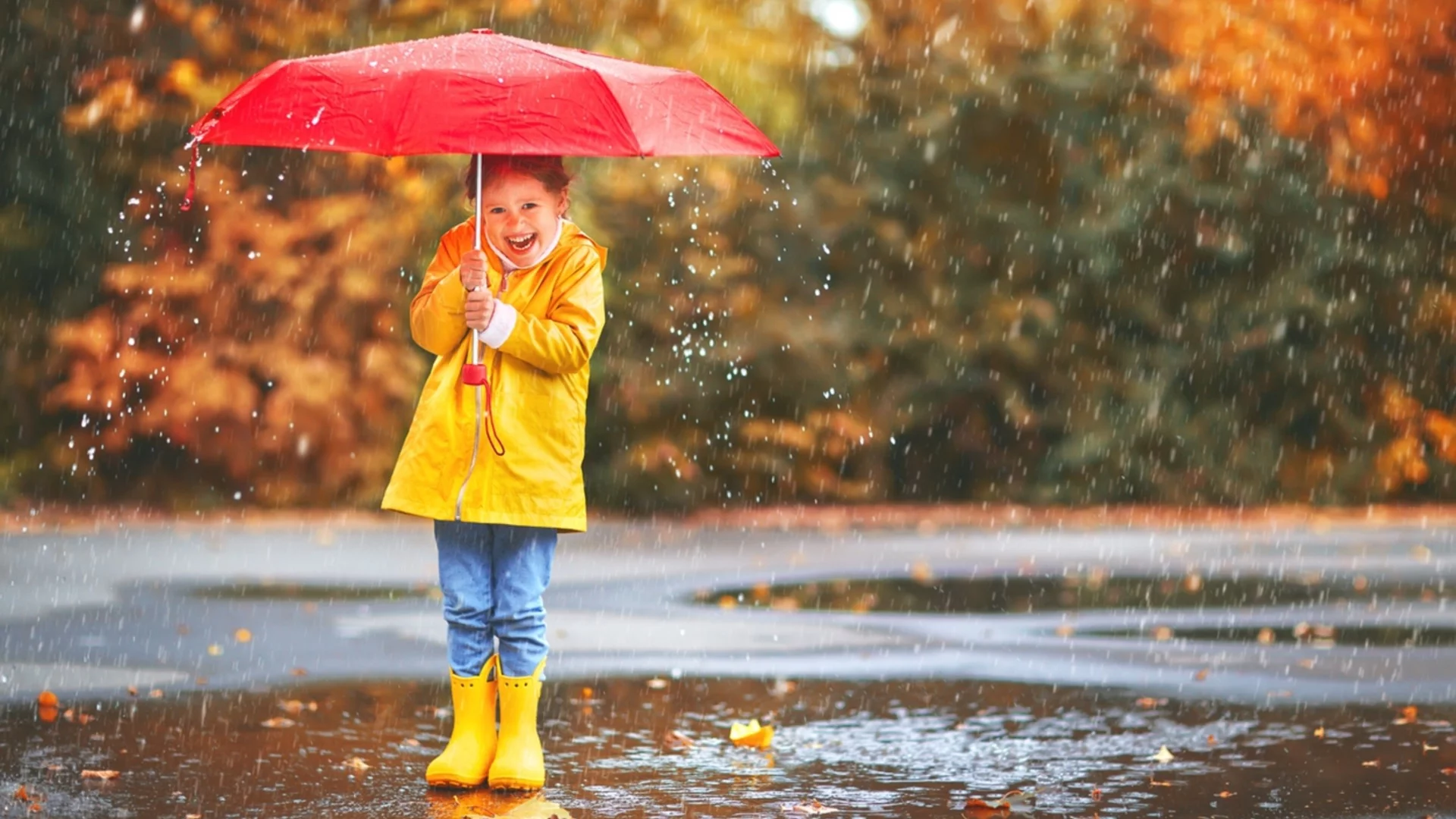Проф. Рачев разкри кога идва затопляне и какво ще е времето в деня на изборите
