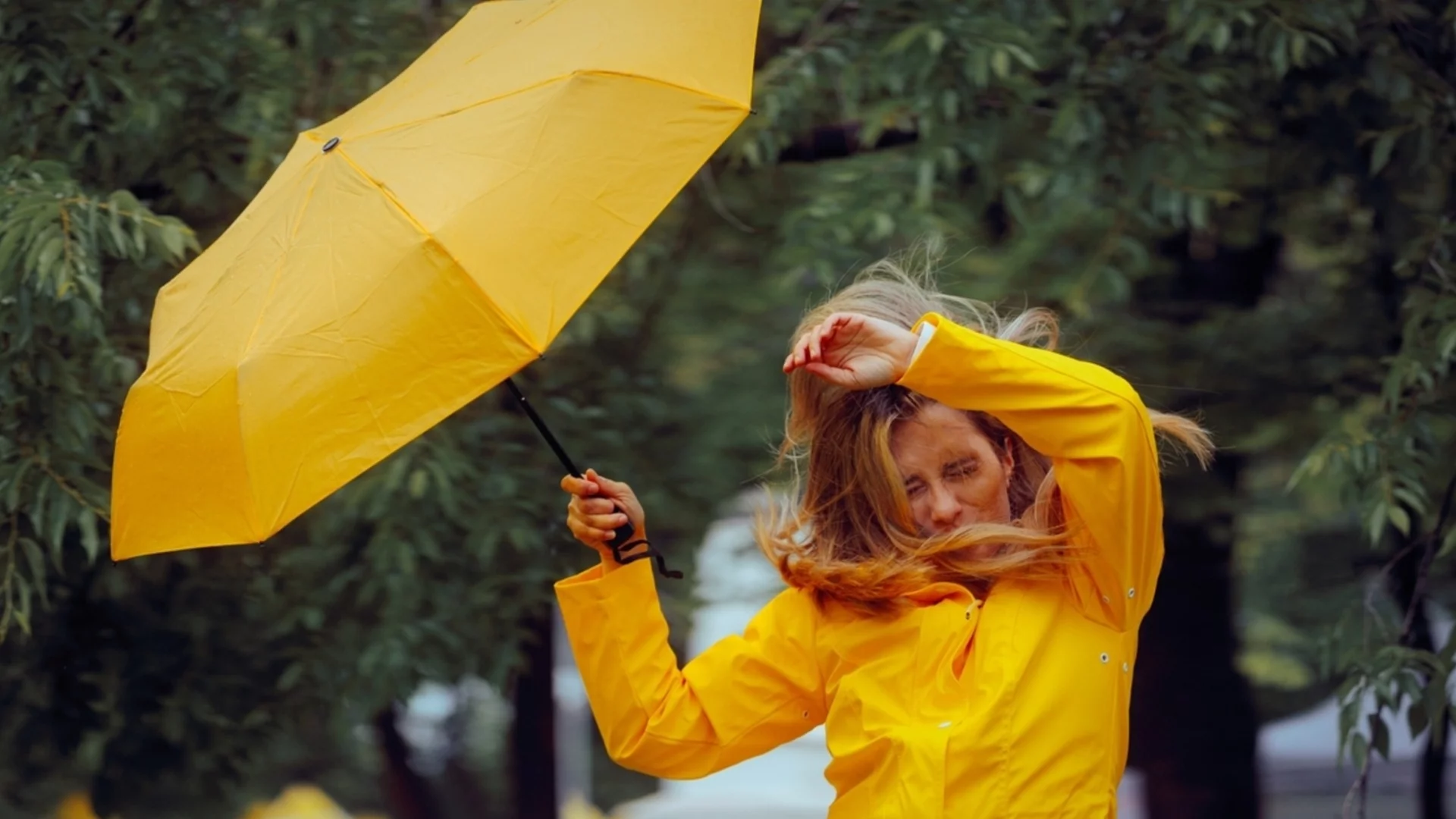 Щурмът на вятъра: Времето утре - 18 април 2026 г. 