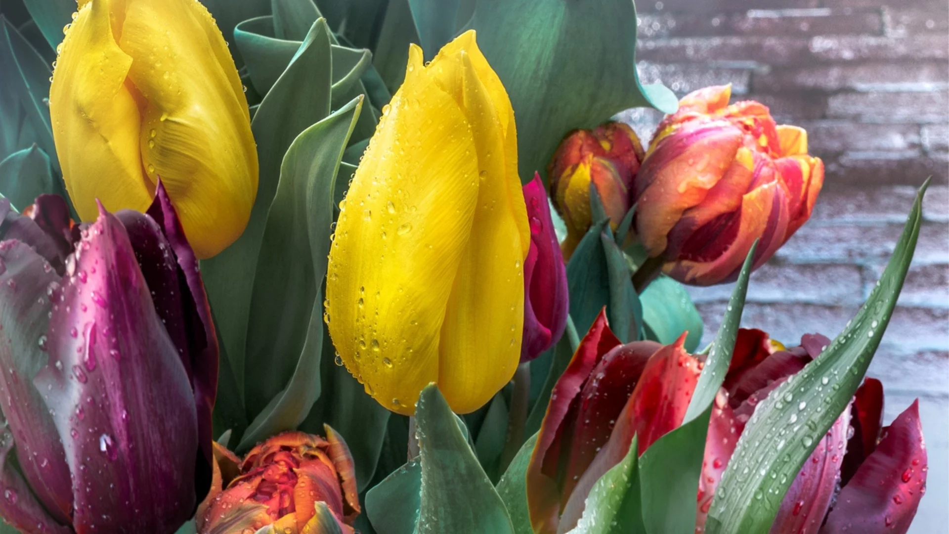 Прогноза за времето - 18 април 2026 г. (събота)