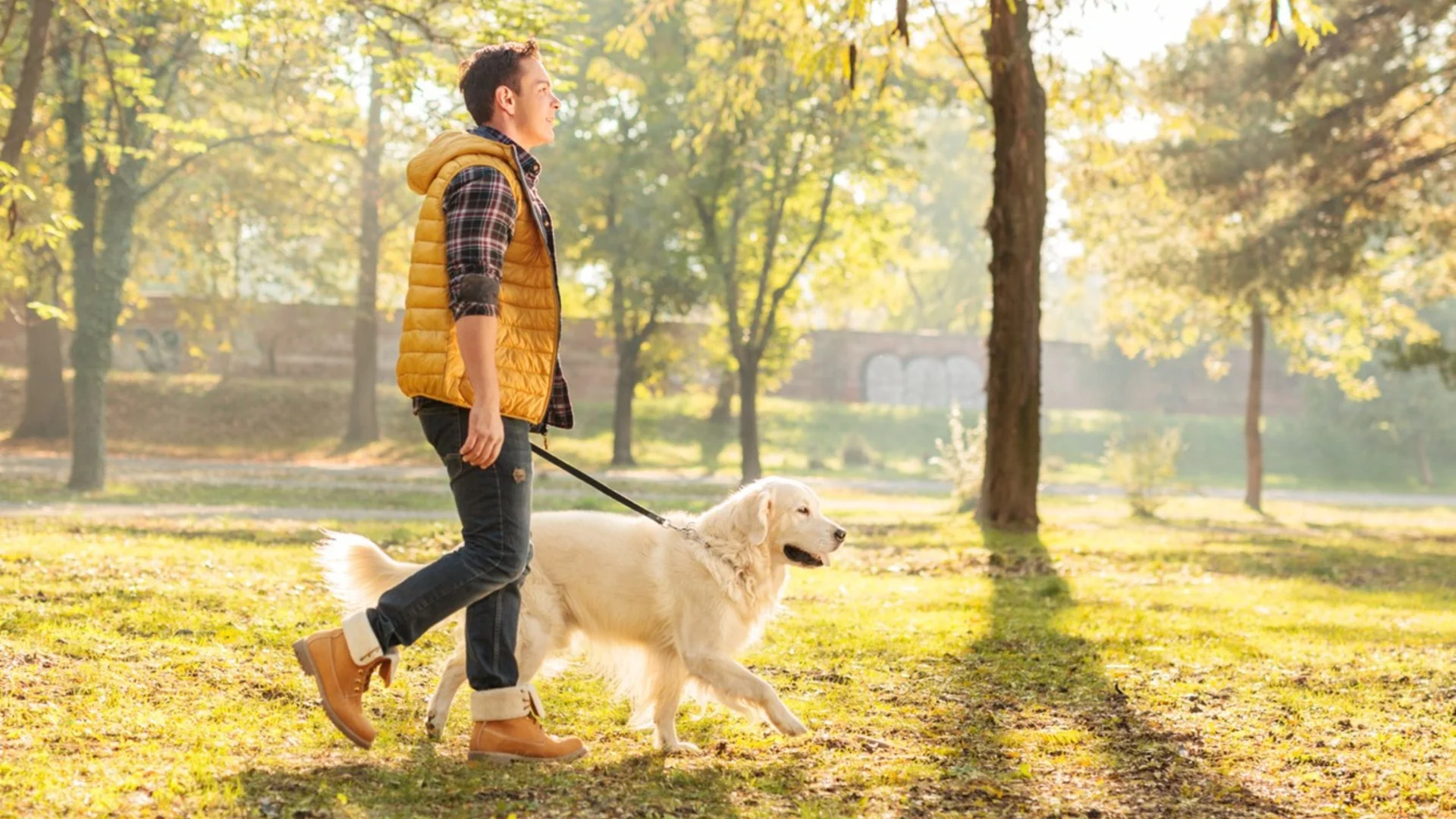 5 задължителни неща при разходка на куче в София