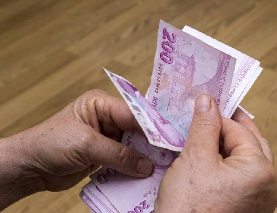 Турска лира - евро. Колко струва една турска лира към едно евро днес, 18 април /валутен калкулатор/