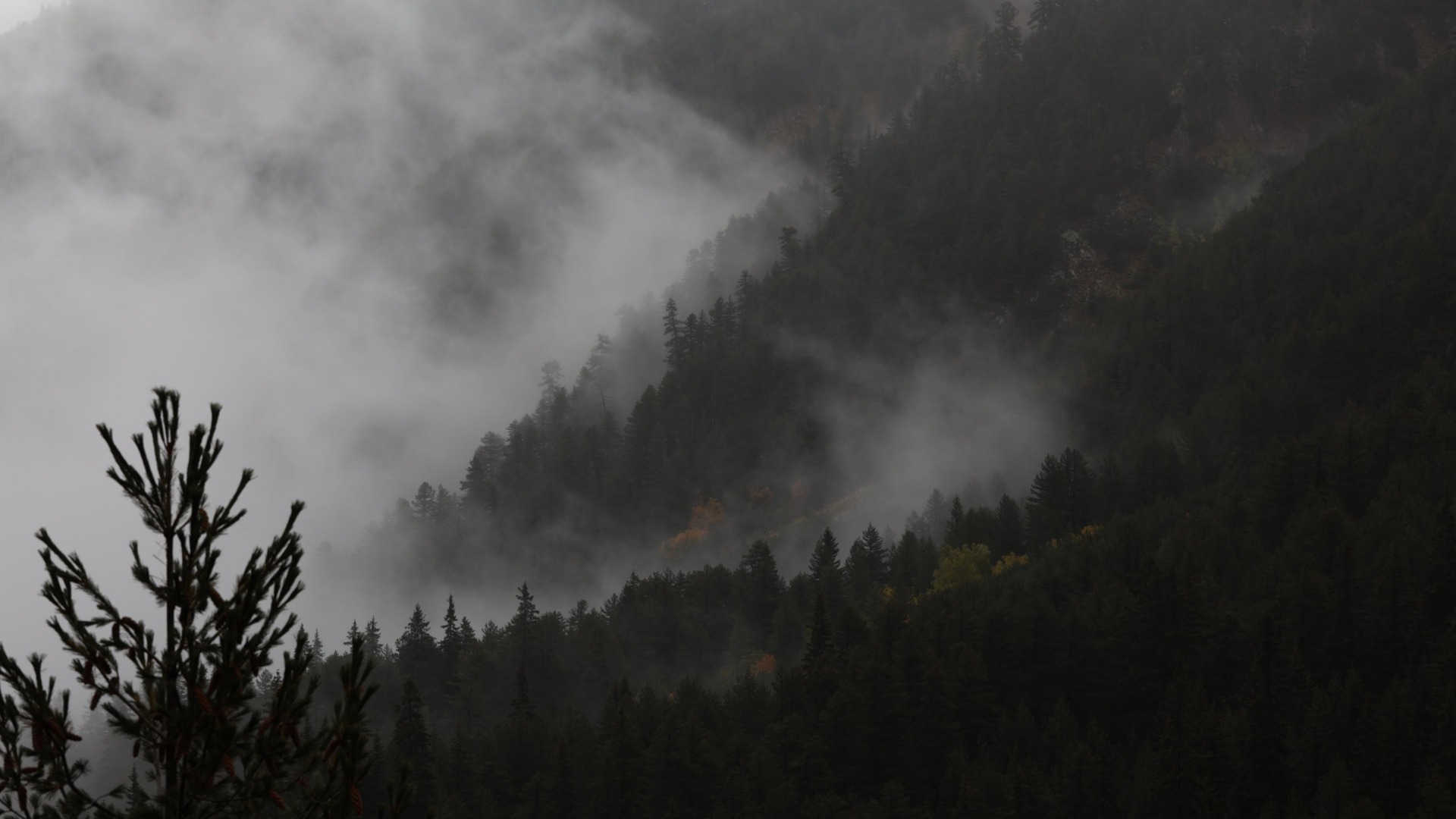 Инциденти с туристи край Мальовица и Сливен