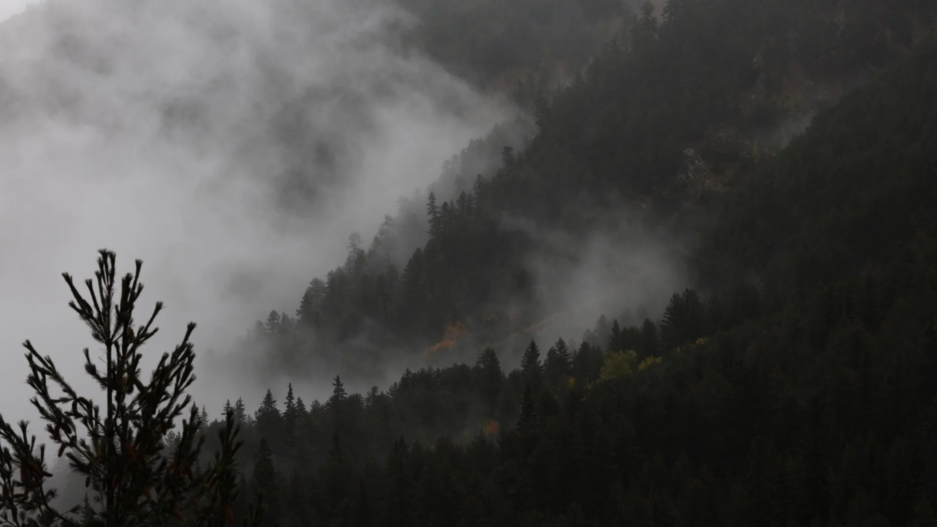 Инциденти с туристи край Мальовица и Сливен