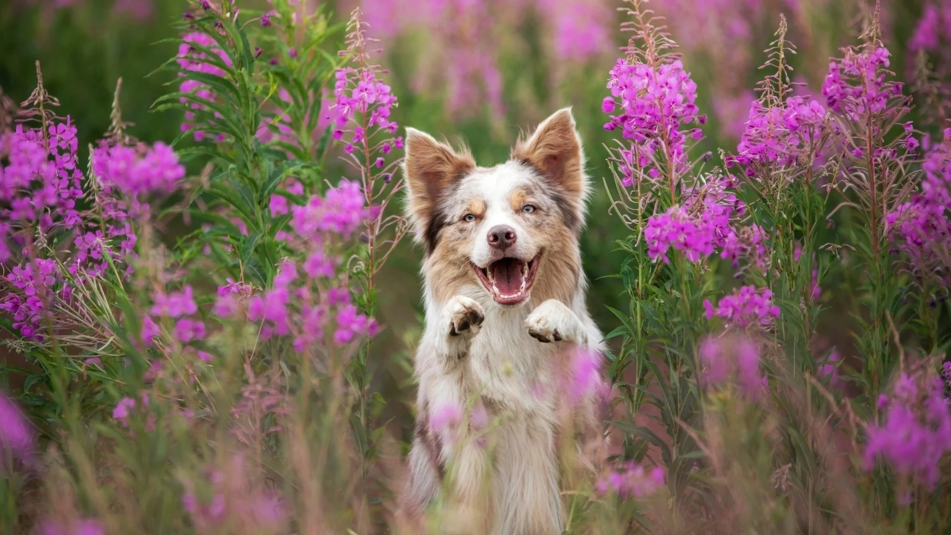 Прогноза за времето - 20 април 2026 г. (понеделник)