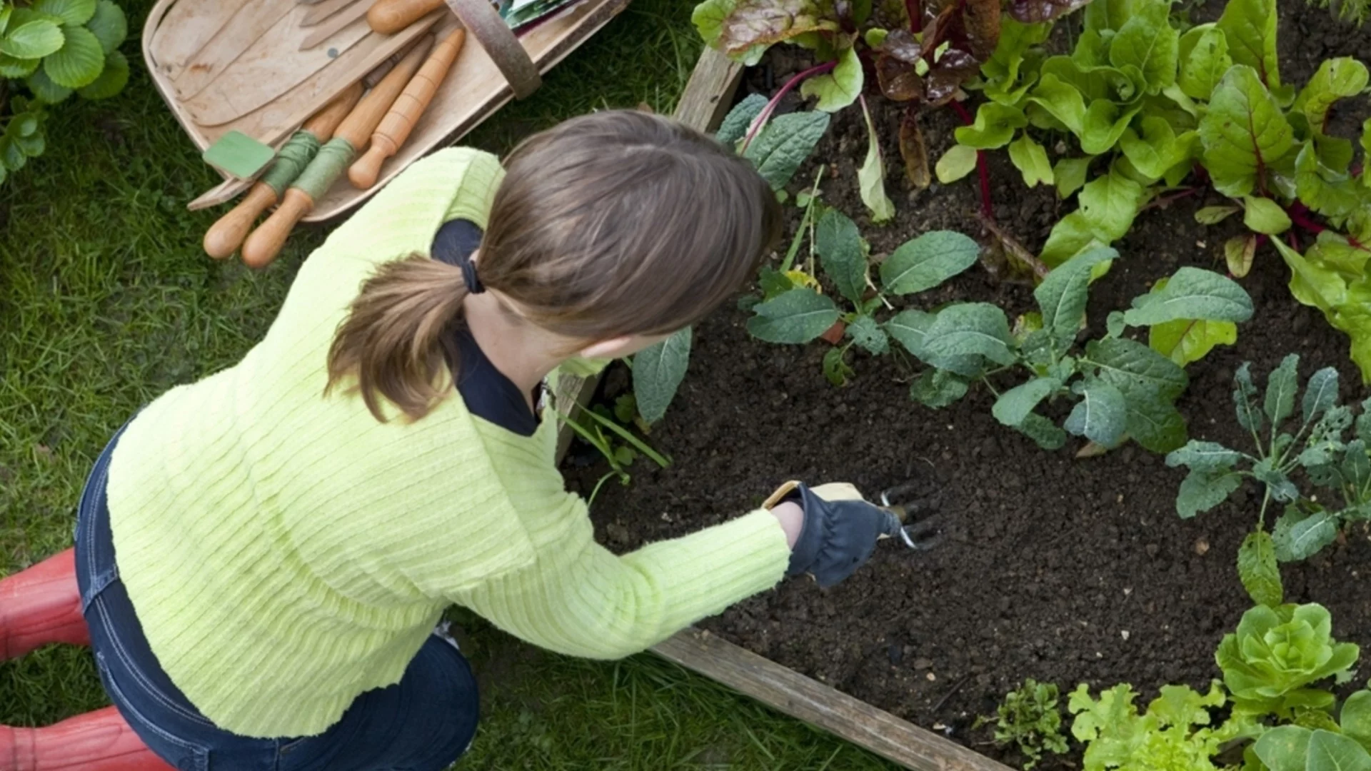 Лунен календар за градинари за май 2026: Какво и кога да засадите
