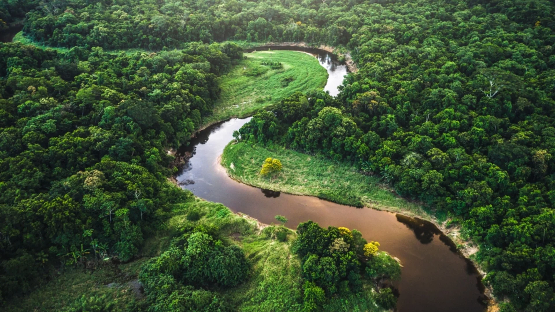 Стотици километри древни пътища, които биха могли да водят до света на духовете, са открити в Амазонка