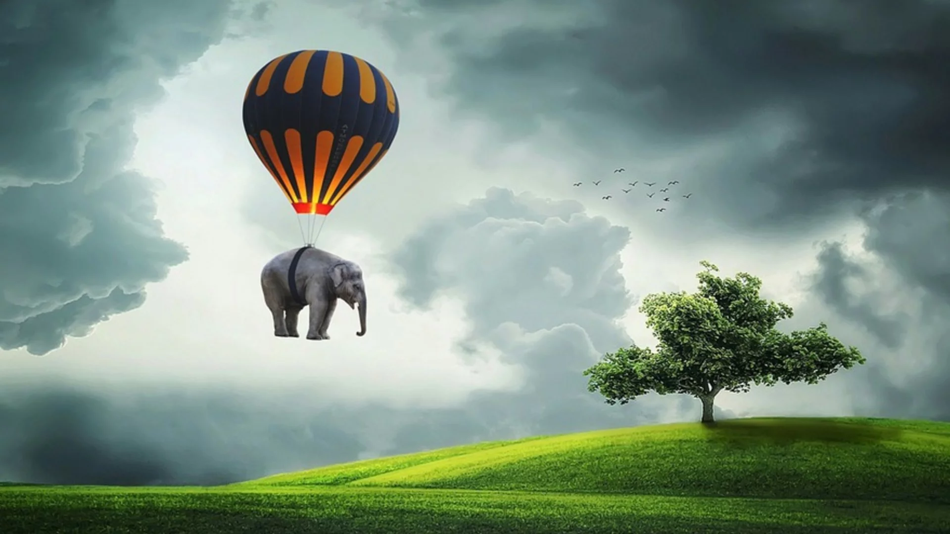 Утре Лъв, Скорпион + още 2 зодии ще видят, че не всичко, що хвърчи, се яде