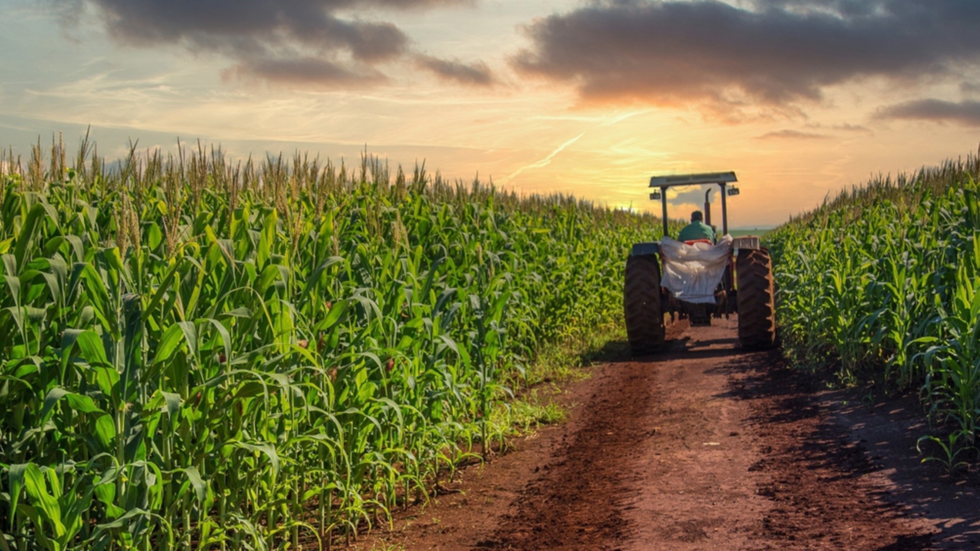 50 свободни работни места на човек: Селскостопанският сектор на Украйна е на ръба