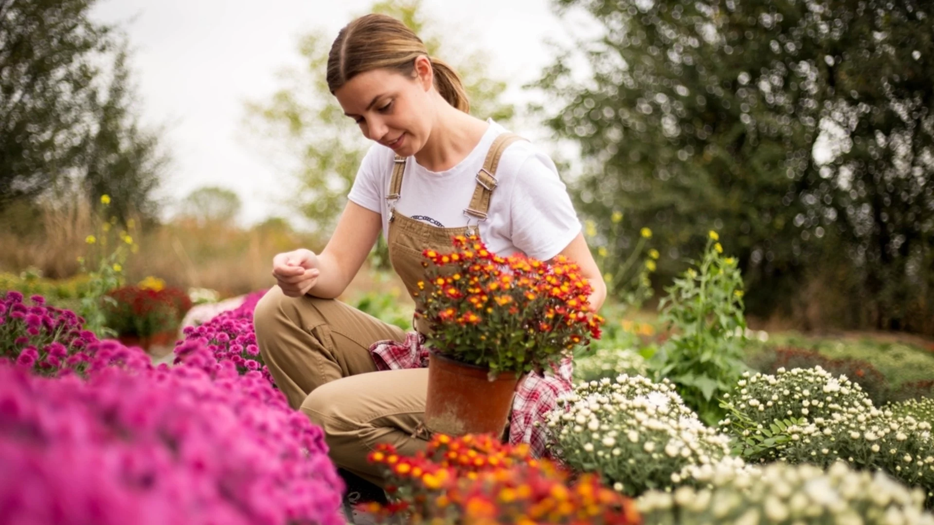 Как да подготвим градината за новия сезон 2026?