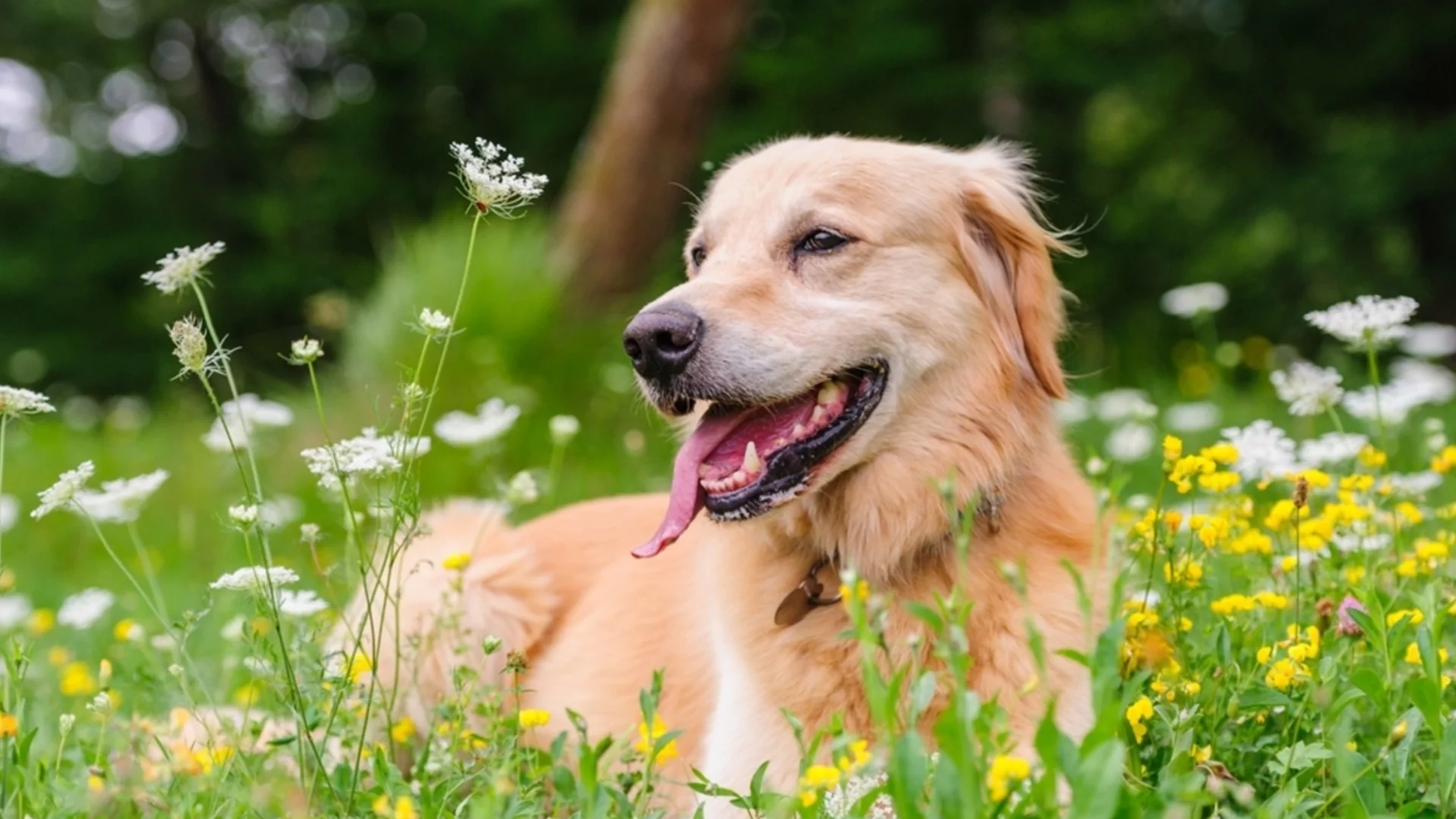 Прогноза за времето - 23 април 2026 г. (четвъртък)