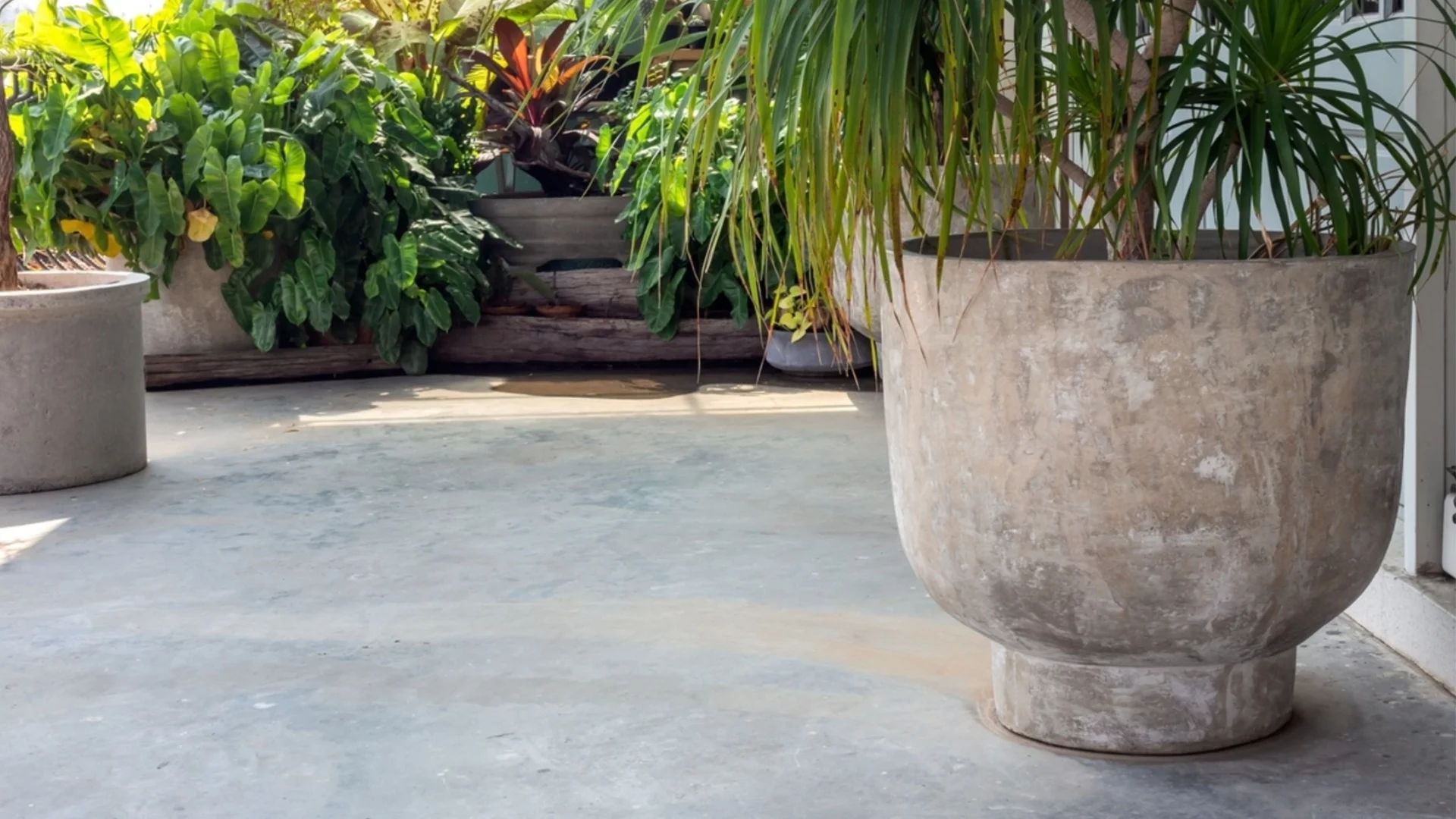 Как да запълните дъното на големи саксии, като същевременно ги запазите леки и подвижни 