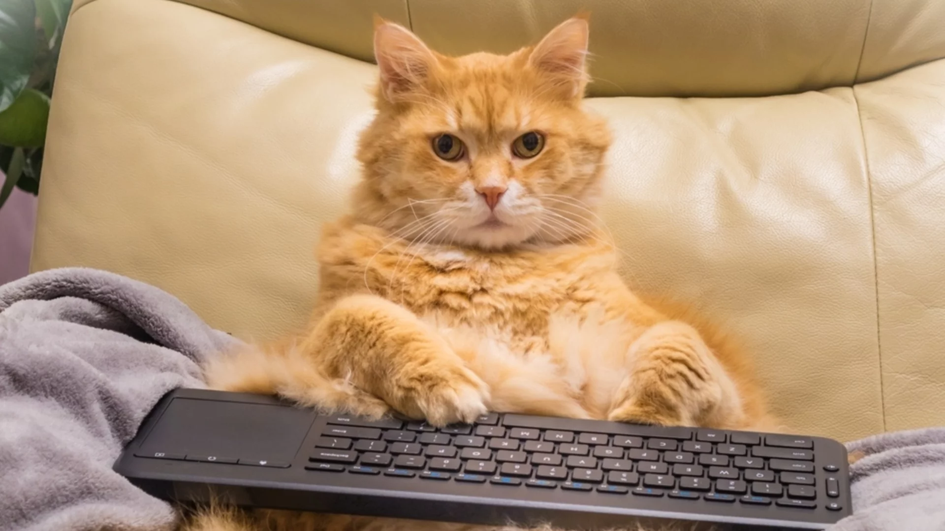 Предупреждение за опасност. Времето утре - 23 април 2026 г. 