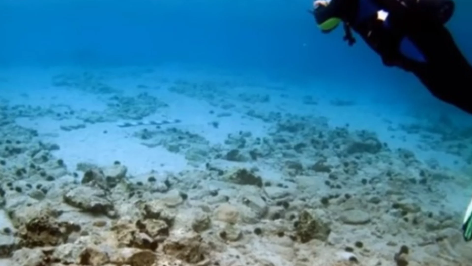 По-стар от пирамидите: Учените все още не успяват да разгадаят мистерията с подводен град на неизвестна цивилизация в Индия