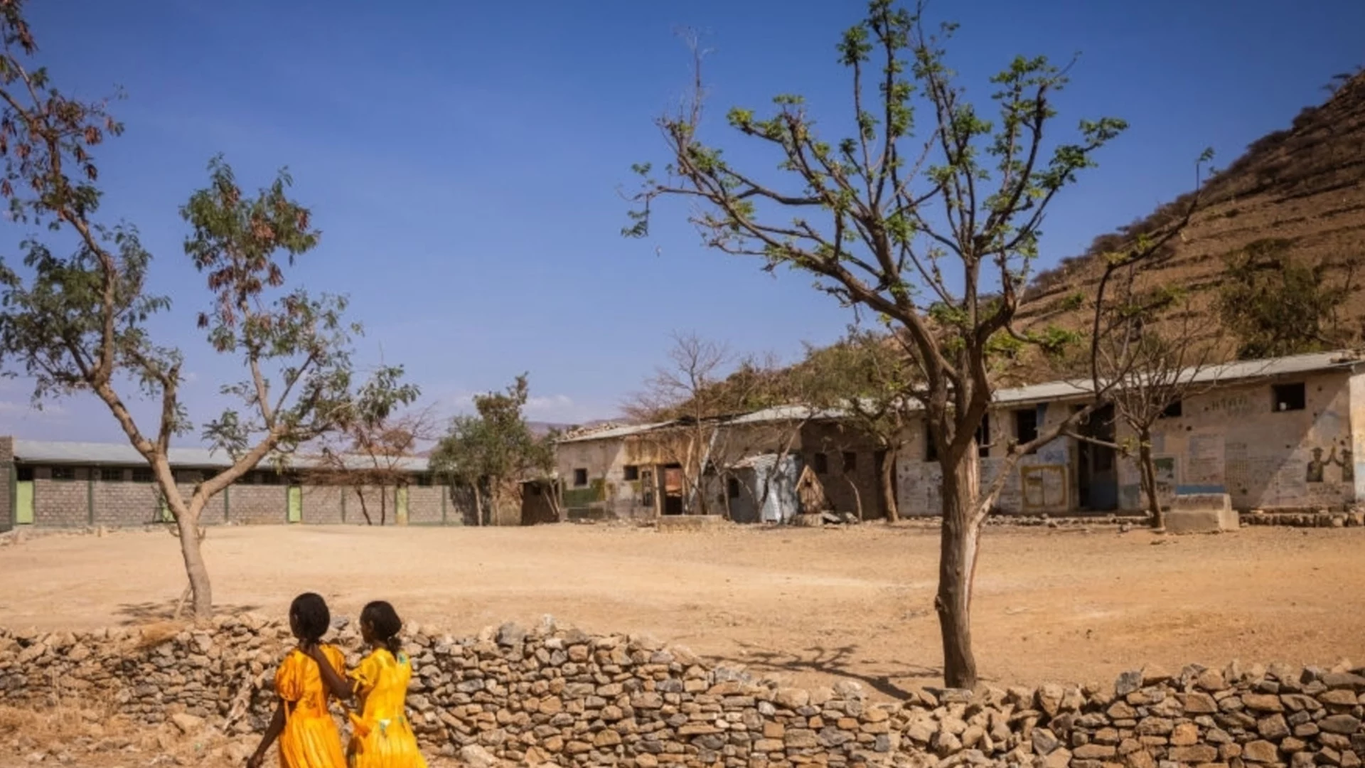 Учените наблюдават феномен в Африка, който не са очаквали