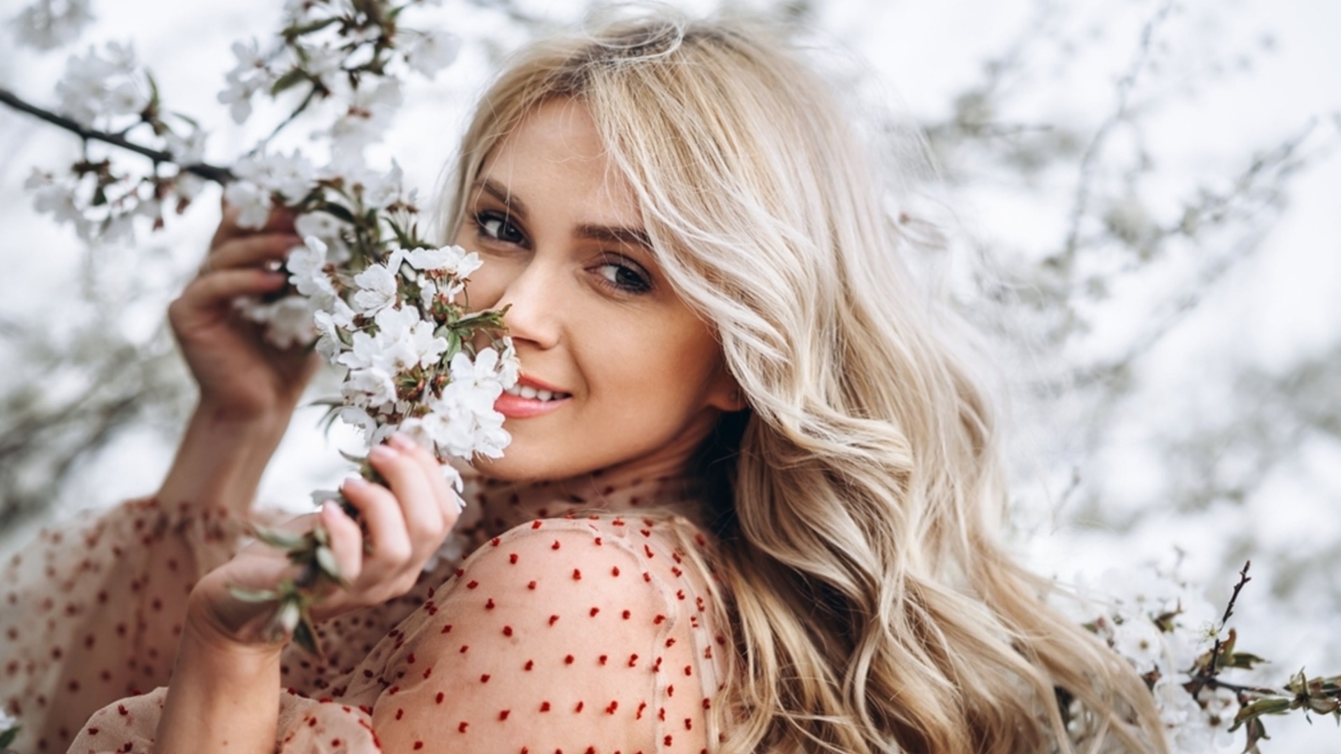 Таро хоро за 24 април