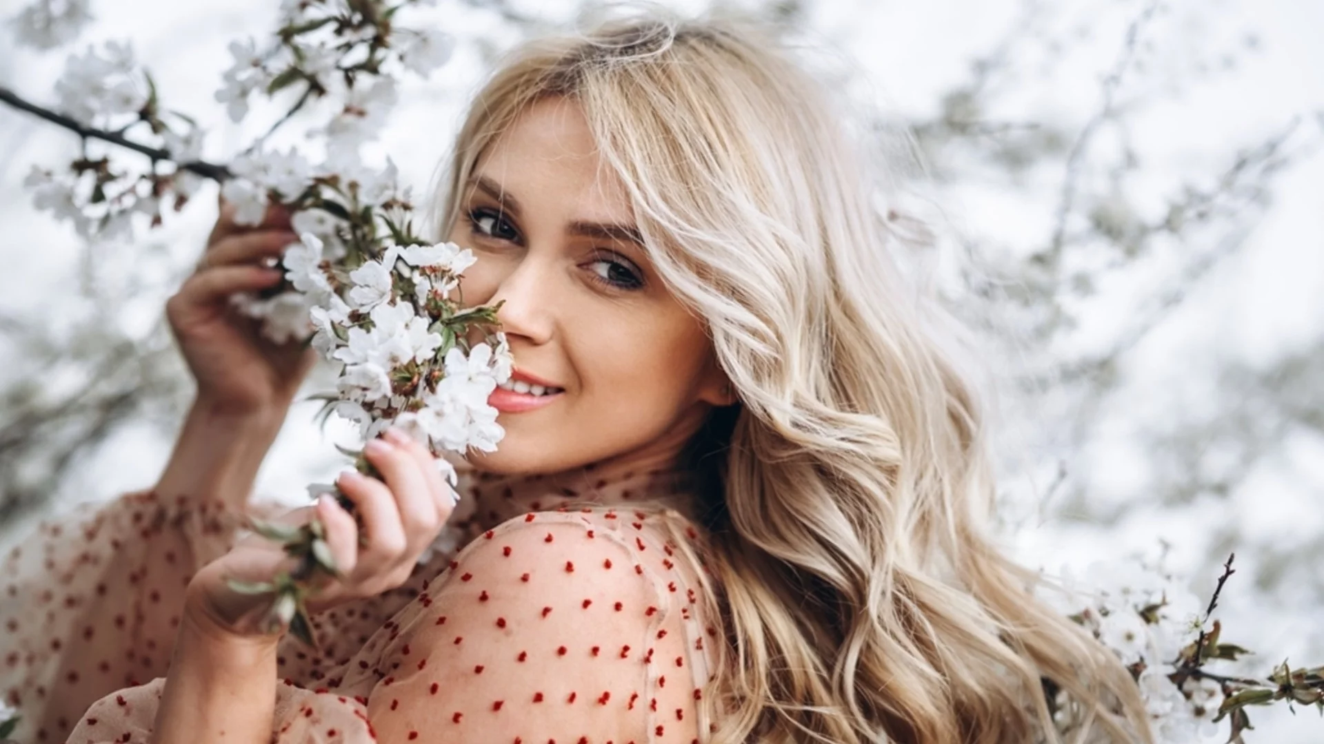 Таро хоро за 24 април