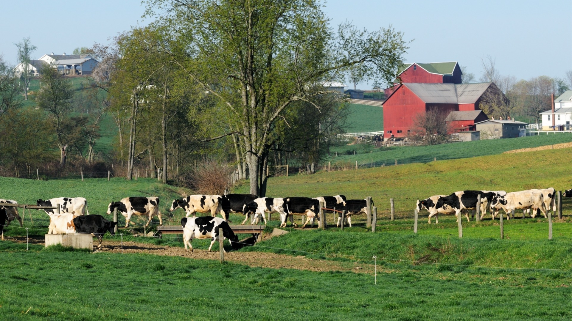 Субсидии без доказване на продукция: Отваря ли държавата врата за 