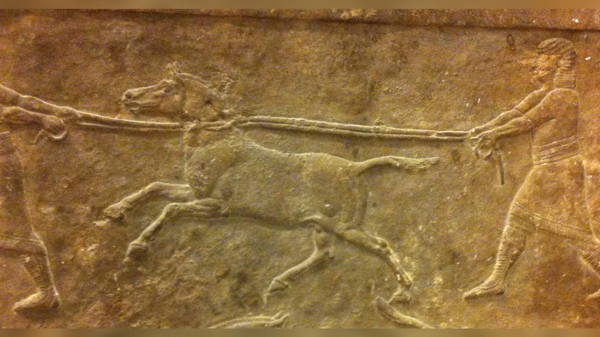 Учени разгадаха ритуали от изгубените архиви на Древна Месопотамия