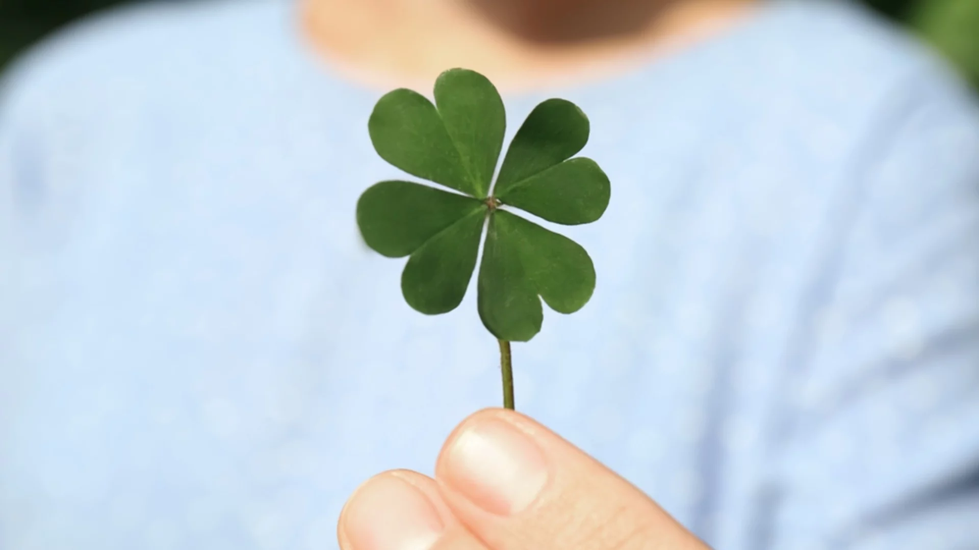 Най-големите късметлии на зодиака през седмицата от 27 април до 3 май 2026 г