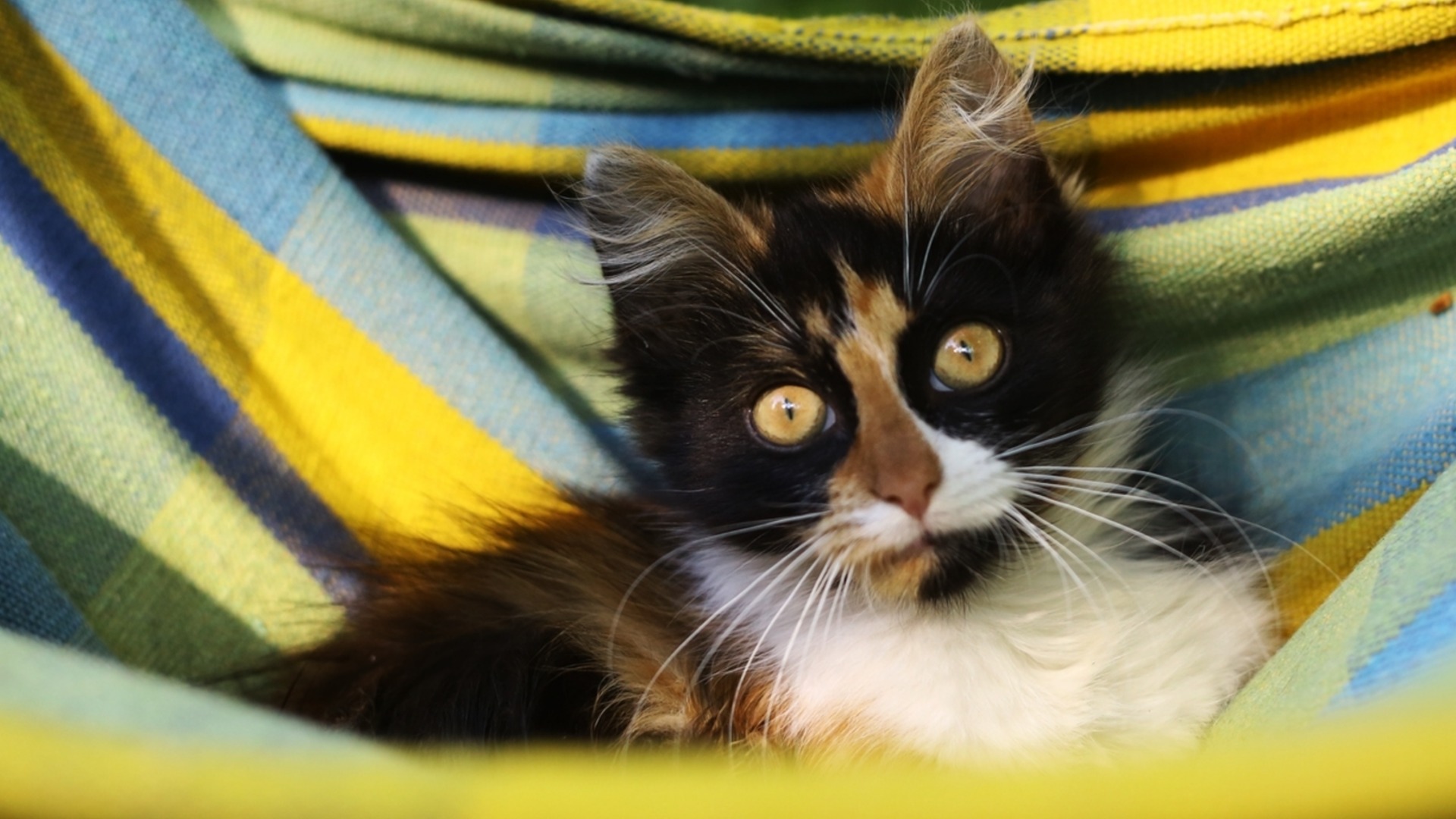 Седмична прогноза за времето от 27 април до 3 май 2026 г.