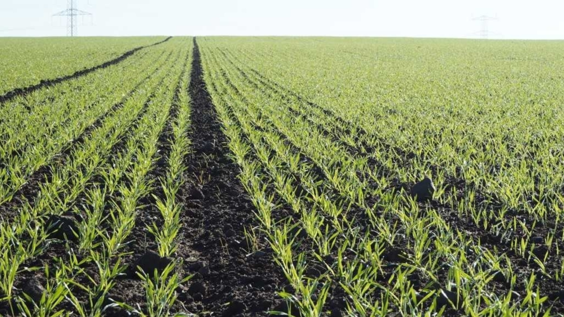 „Агрион“ стартира директни договаряния за земя под наем и аренда