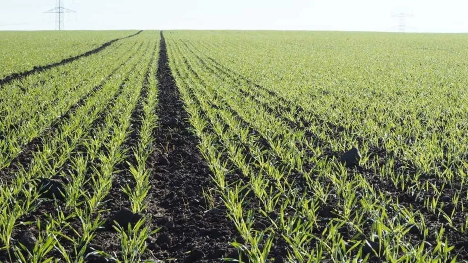 „Агрион“ стартира директни договаряния за земя под наем и аренда