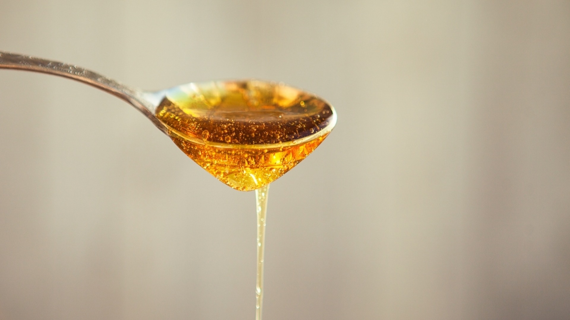 Хороскоп за утре, 29 април: Лъвовете ще намерят кацата с меда, а Козирозите ще се занимават с всякакви „говеда“