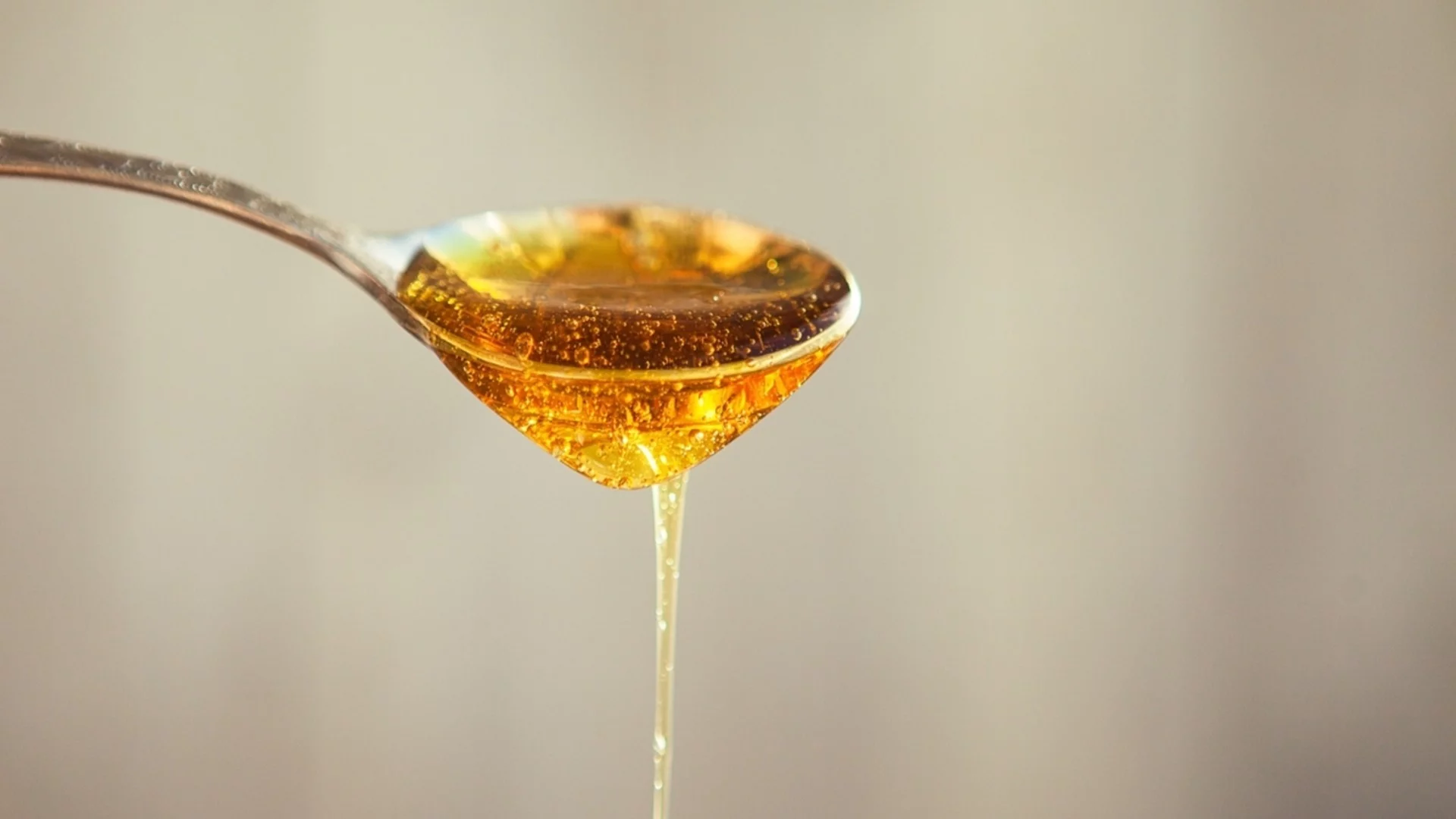 Хороскоп за утре, 29 април: Лъвовете ще намерят кацата с меда, а Козирозите ще се занимават с всякакви „говеда“