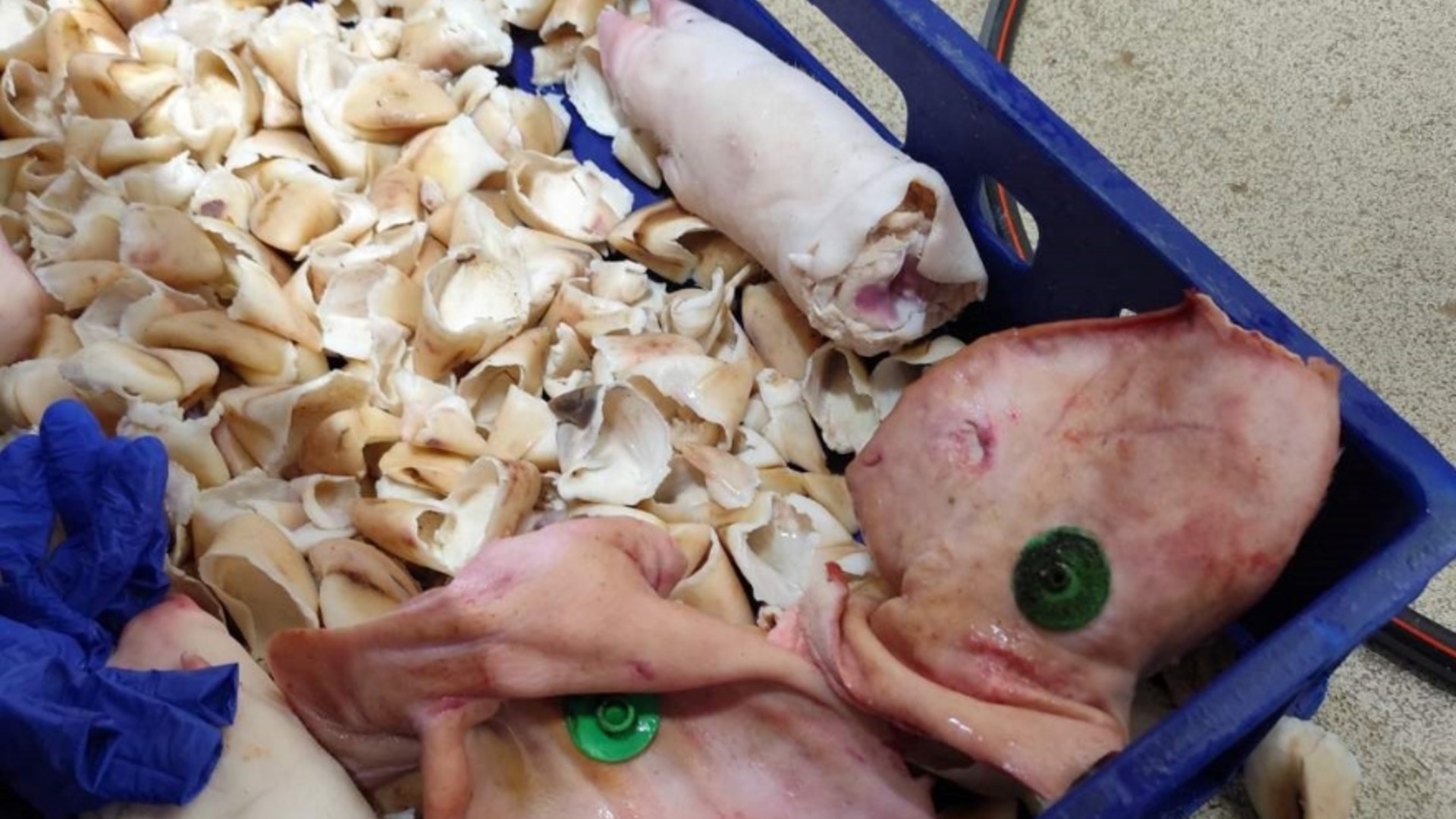 С изтекъл срок на годност: 3,5 т месо ще бъдат унищожени, съобщи БАБХ