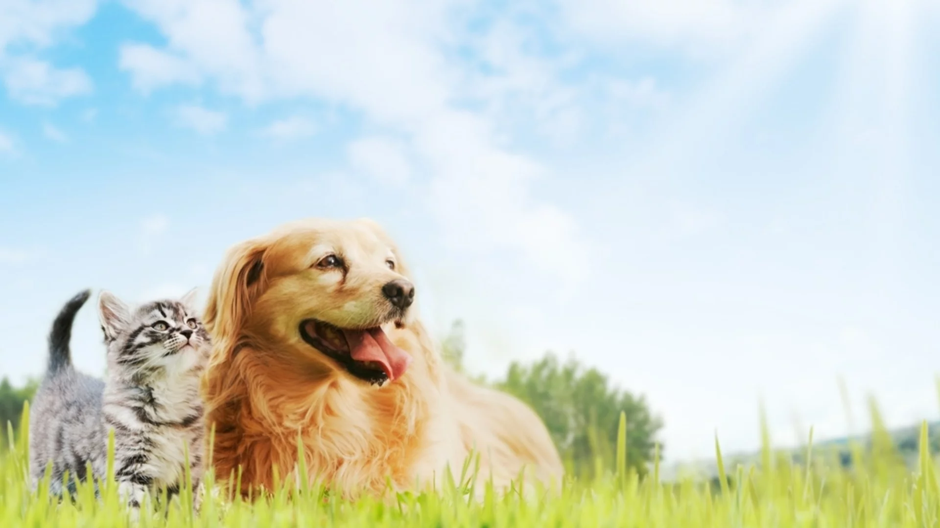 Прогноза за времето - 26 април 2026 г. (неделя)