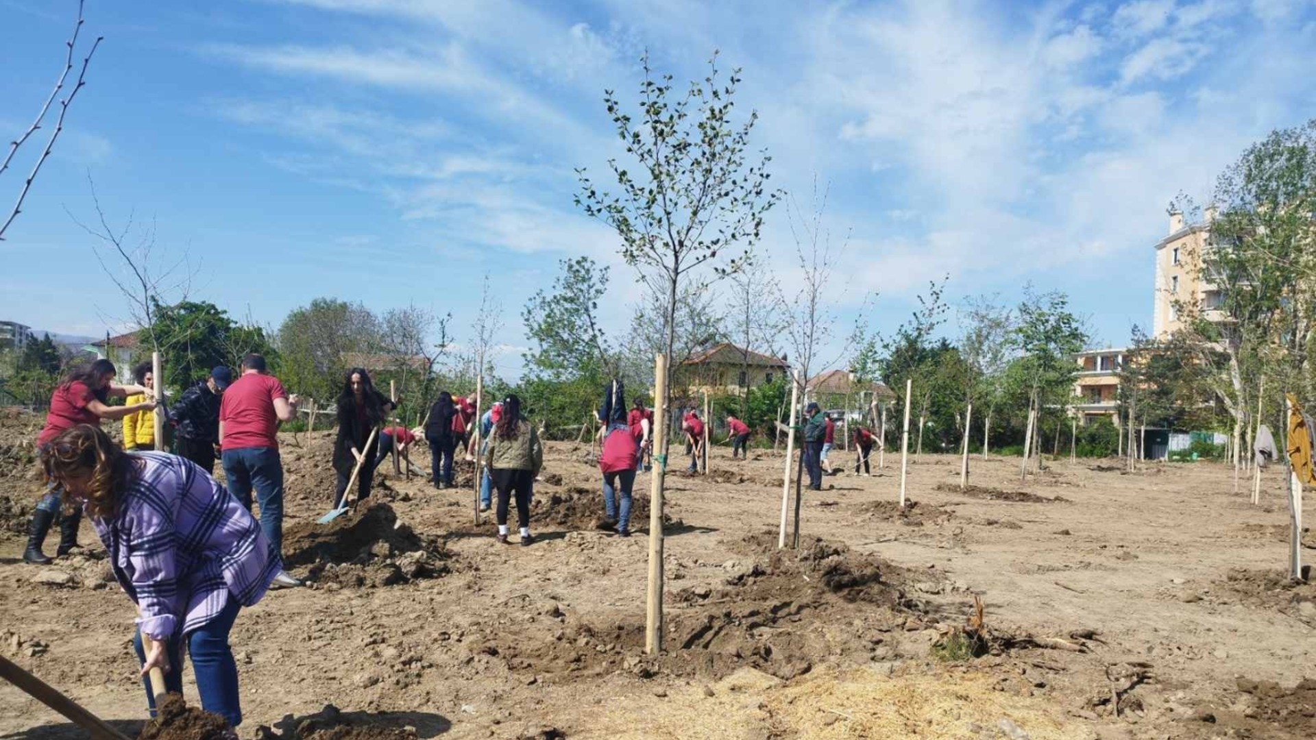 С над 1000 засадени дървета приключи пролетната залесителна кампания в Пловдив