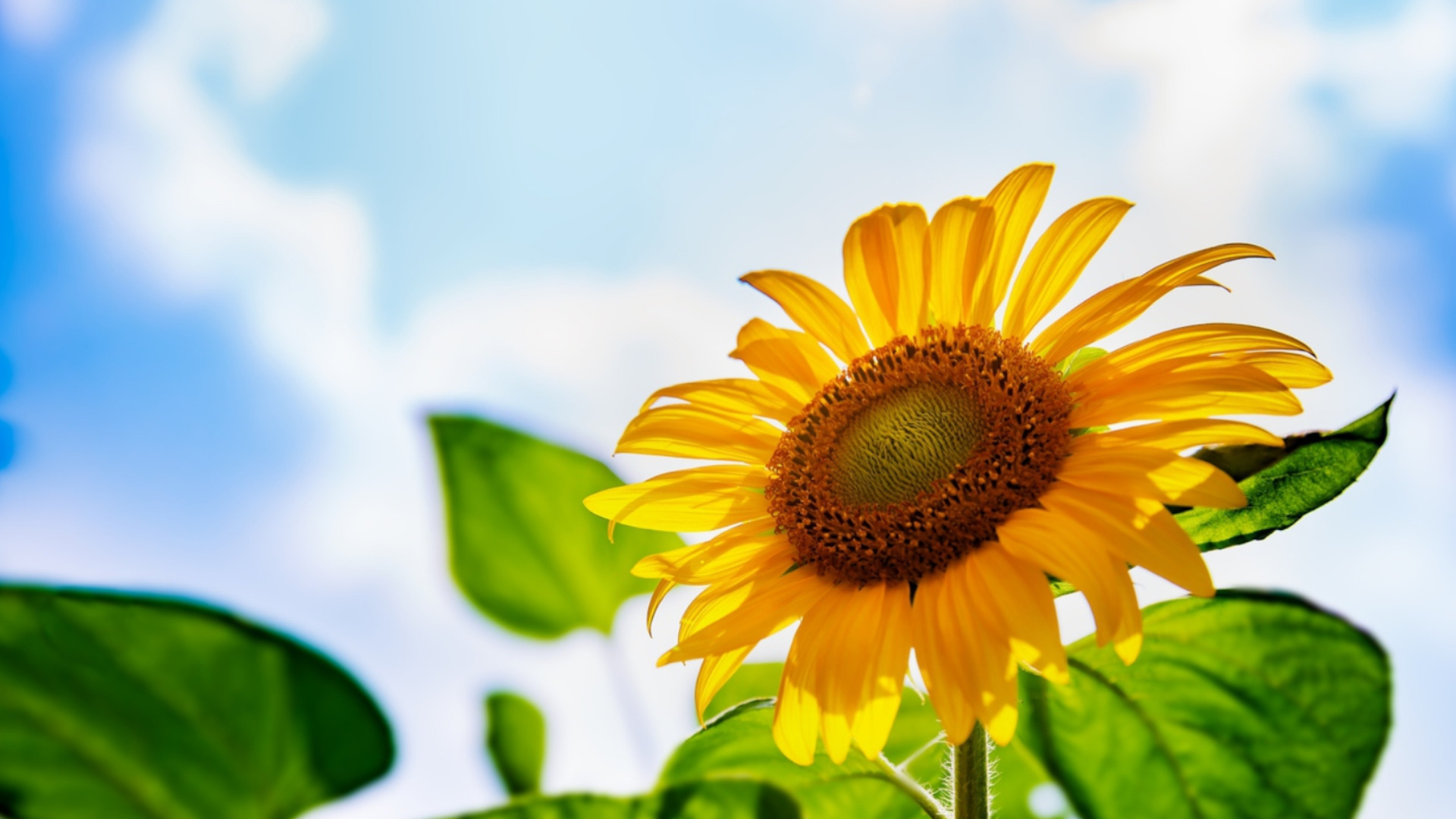 Прогноза за времето - 27 април 2026 г. (понеделник)