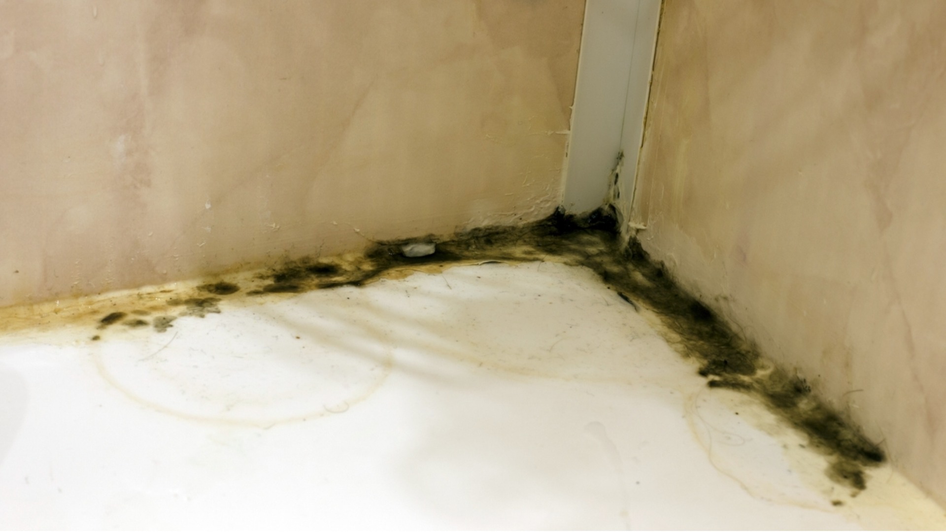 Топ 5 грешки при почистване на банята, които правят мръсотията по-упорита