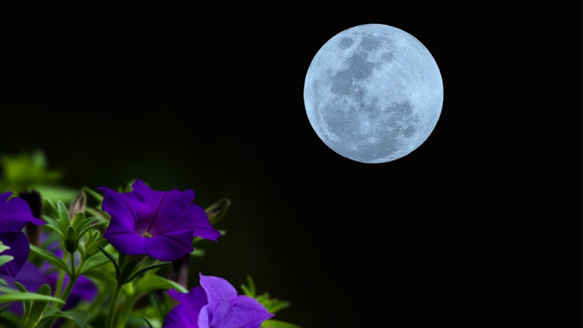 Пълнолуние нa 1 май носи късмет на тези 3 зодии