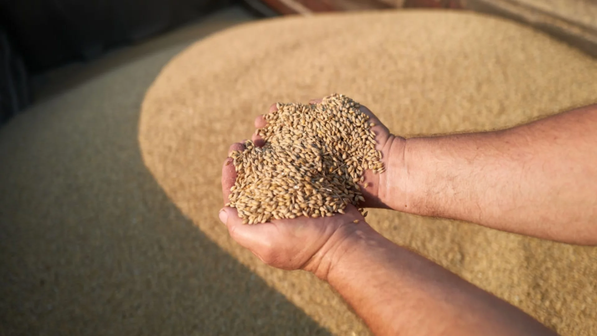 Ванс мисли, че Пентагона лъже за Иран. Украйна върви към дипломатическа война с Израел заради крадено зърно